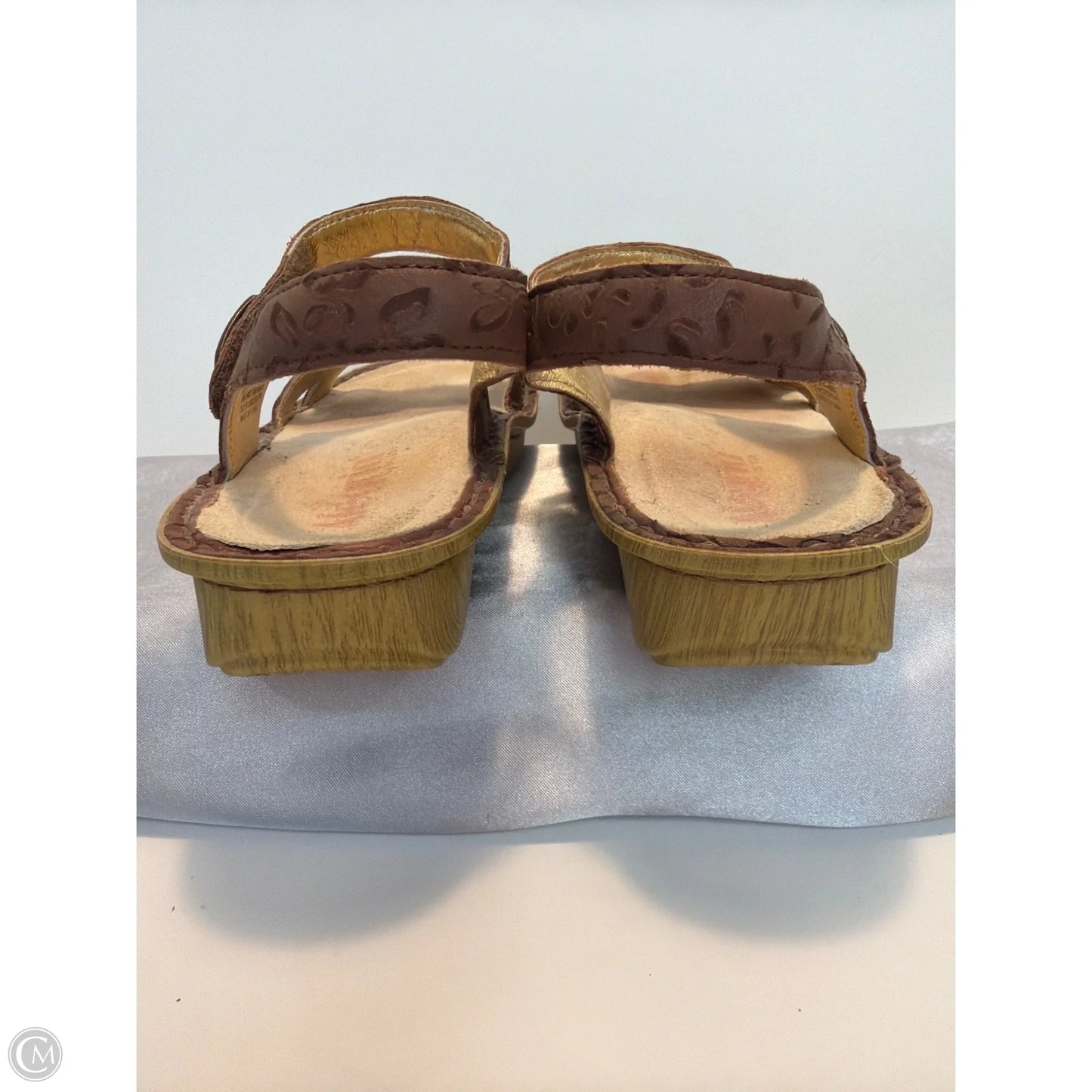 Sandals Flats By Alegria In Brown, Size: 8.5