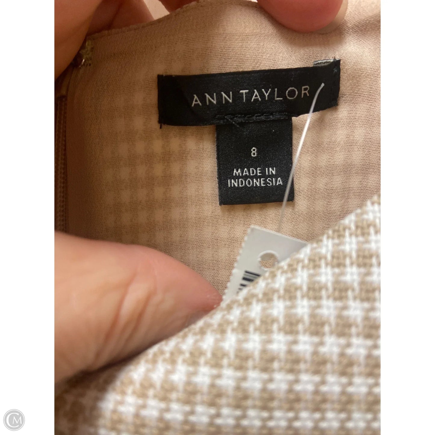 Top Short Sleeve By Ann Taylor In Brown, Size: M
