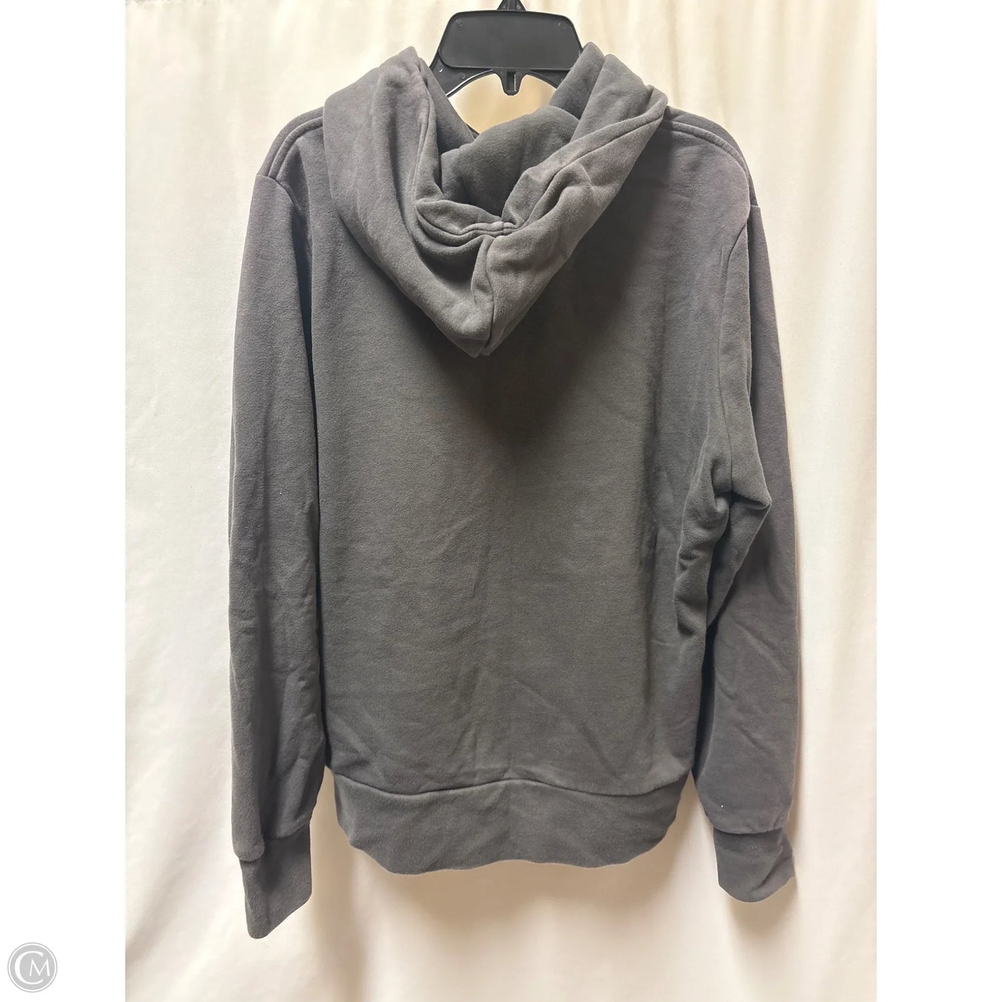 Sweatshirt Hoodie By The North Face In Grey, Size: L