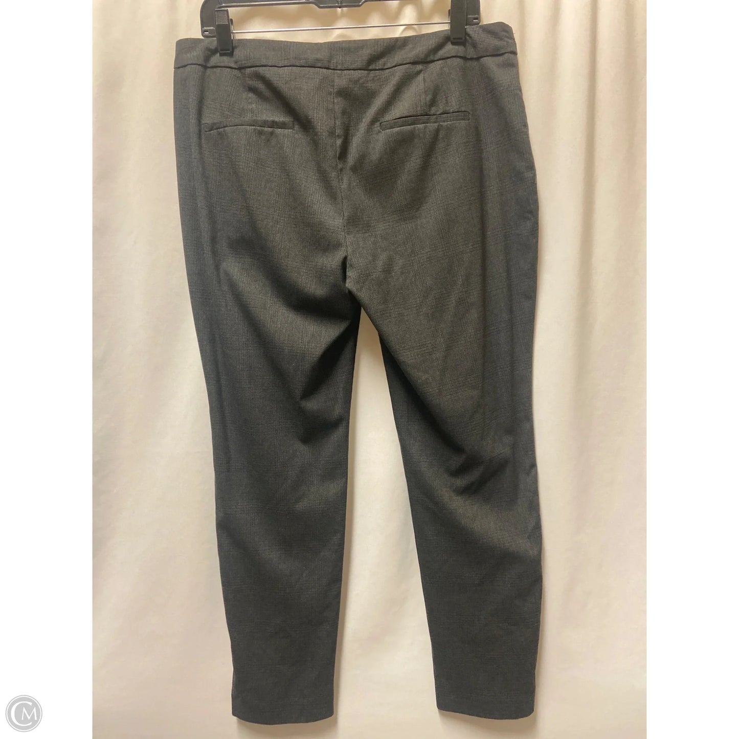Pants Suit 2pc By Zara Basic In Grey, Size: 10