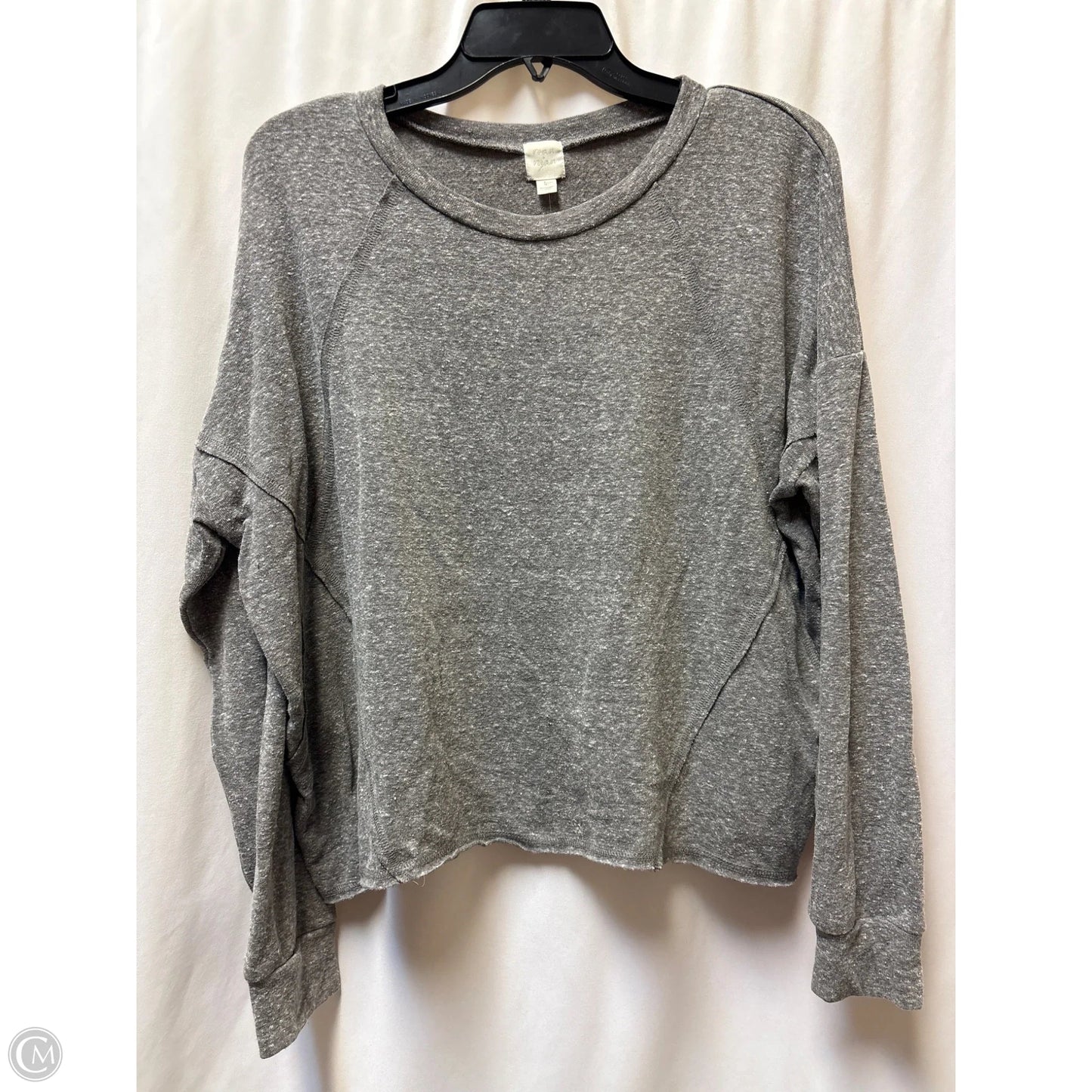 Top Long Sleeve By Clothes Mentor In Grey, Size: L