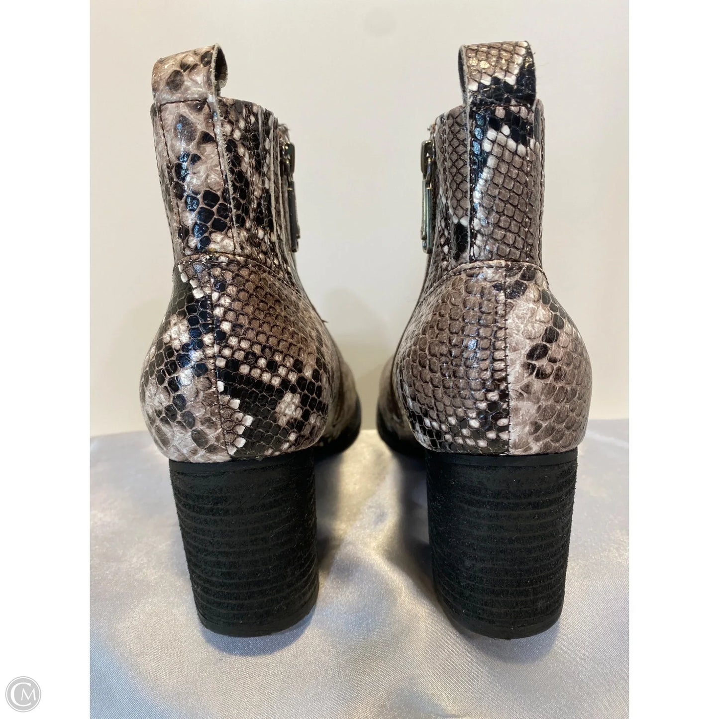 Shoes Heels Block By Blondo In Snakeskin Print, Size: 11