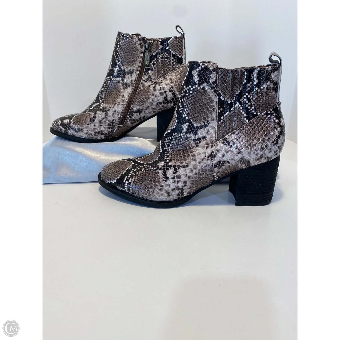 Shoes Heels Block By Blondo In Snakeskin Print, Size: 11