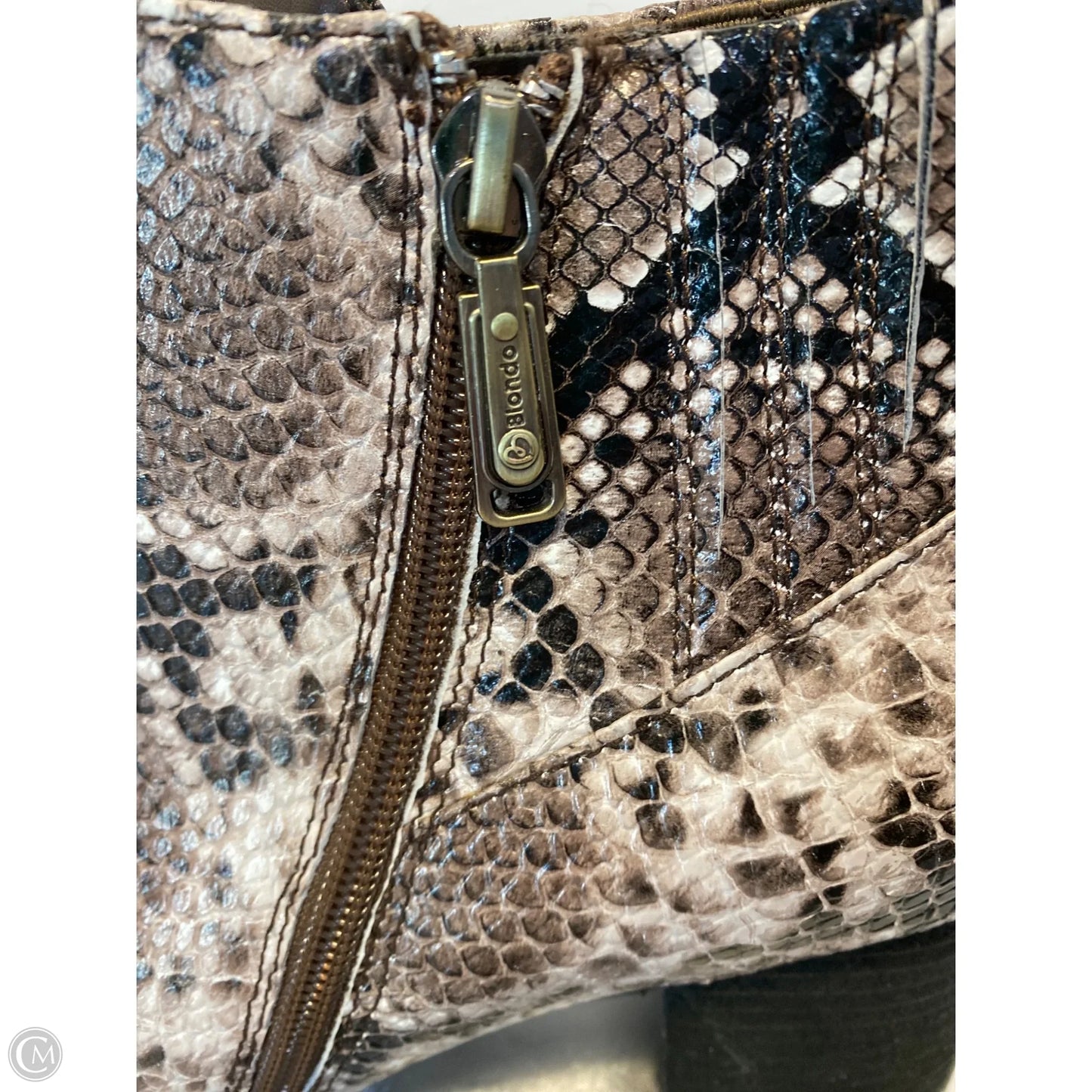 Shoes Heels Block By Blondo In Snakeskin Print, Size: 11