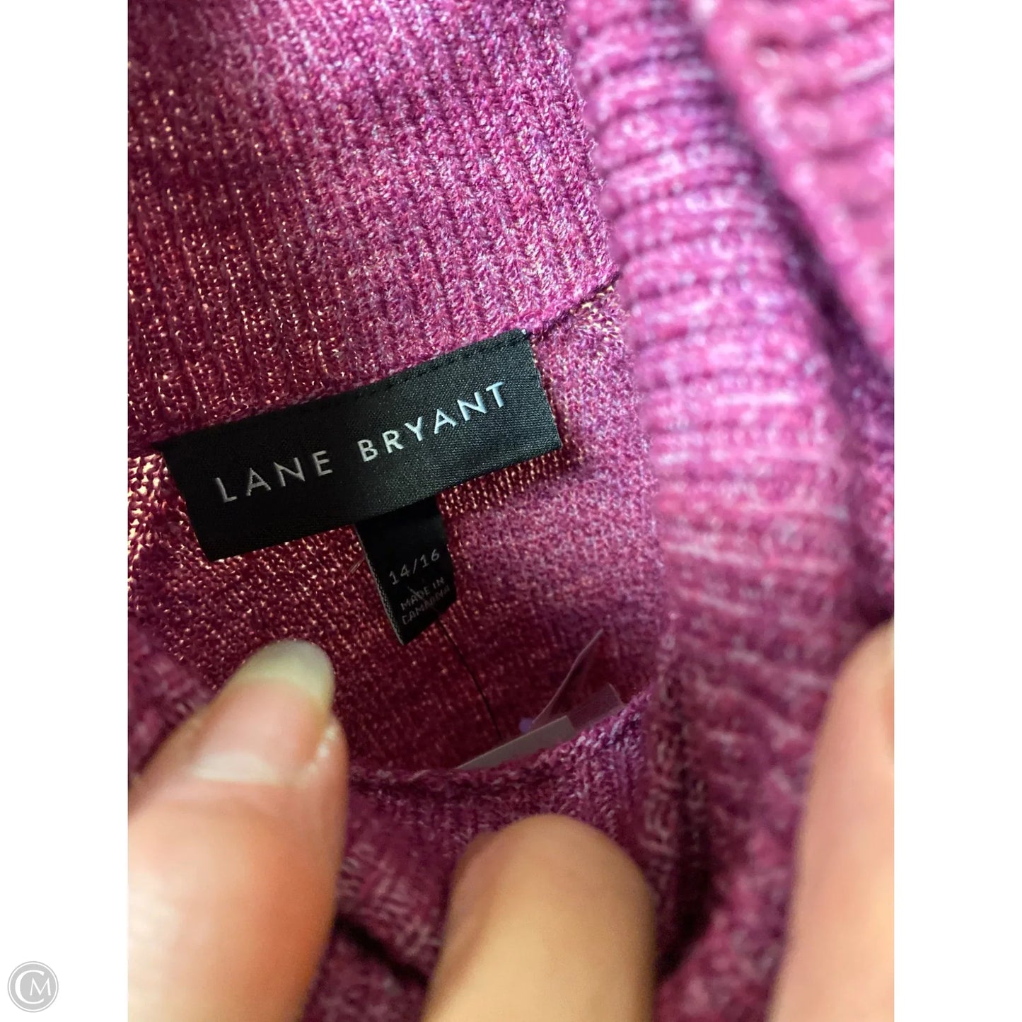 Sweater By Lane Bryant In Purple, Size: 14