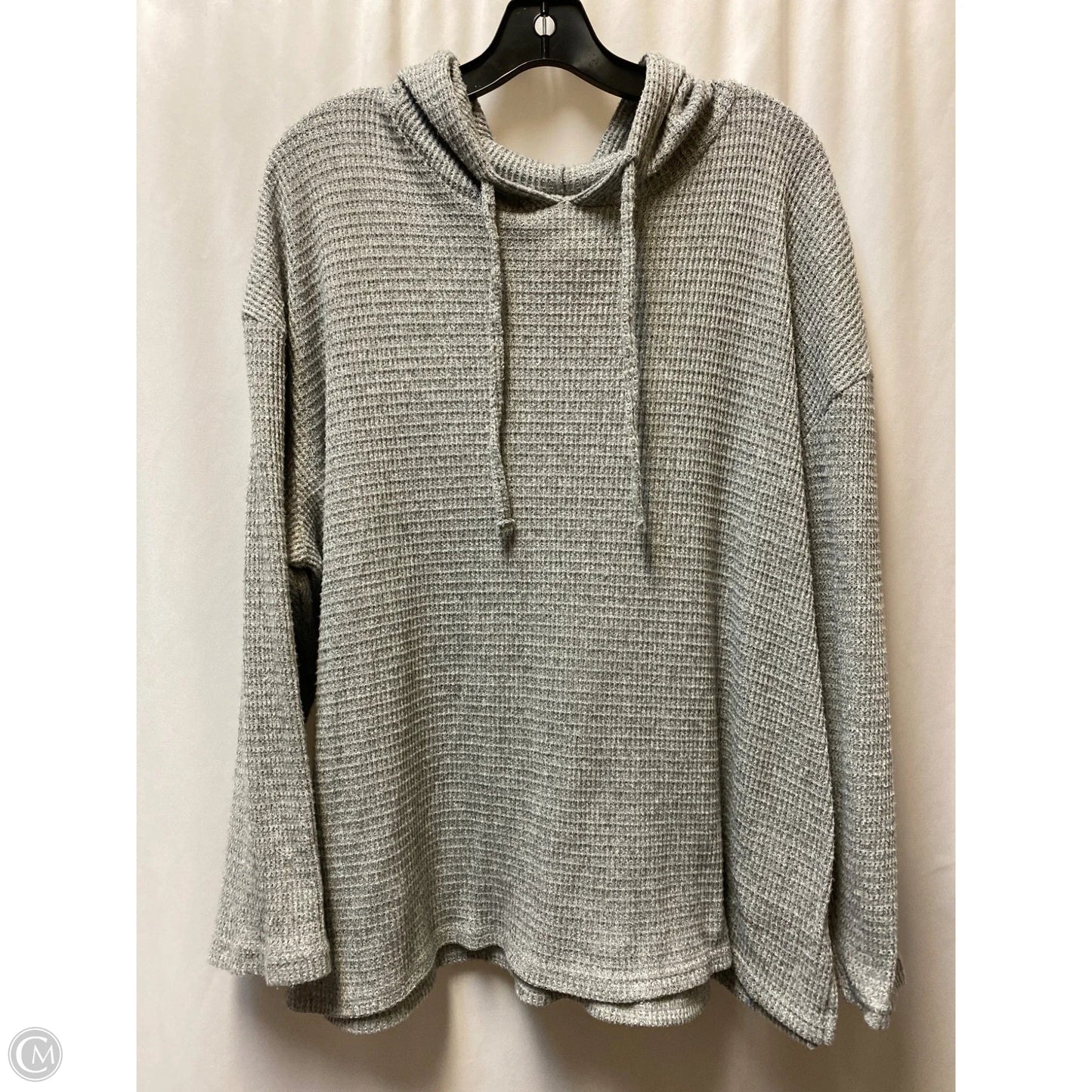 Sweatshirt Hoodie By Serra In Grey, Size: Xl