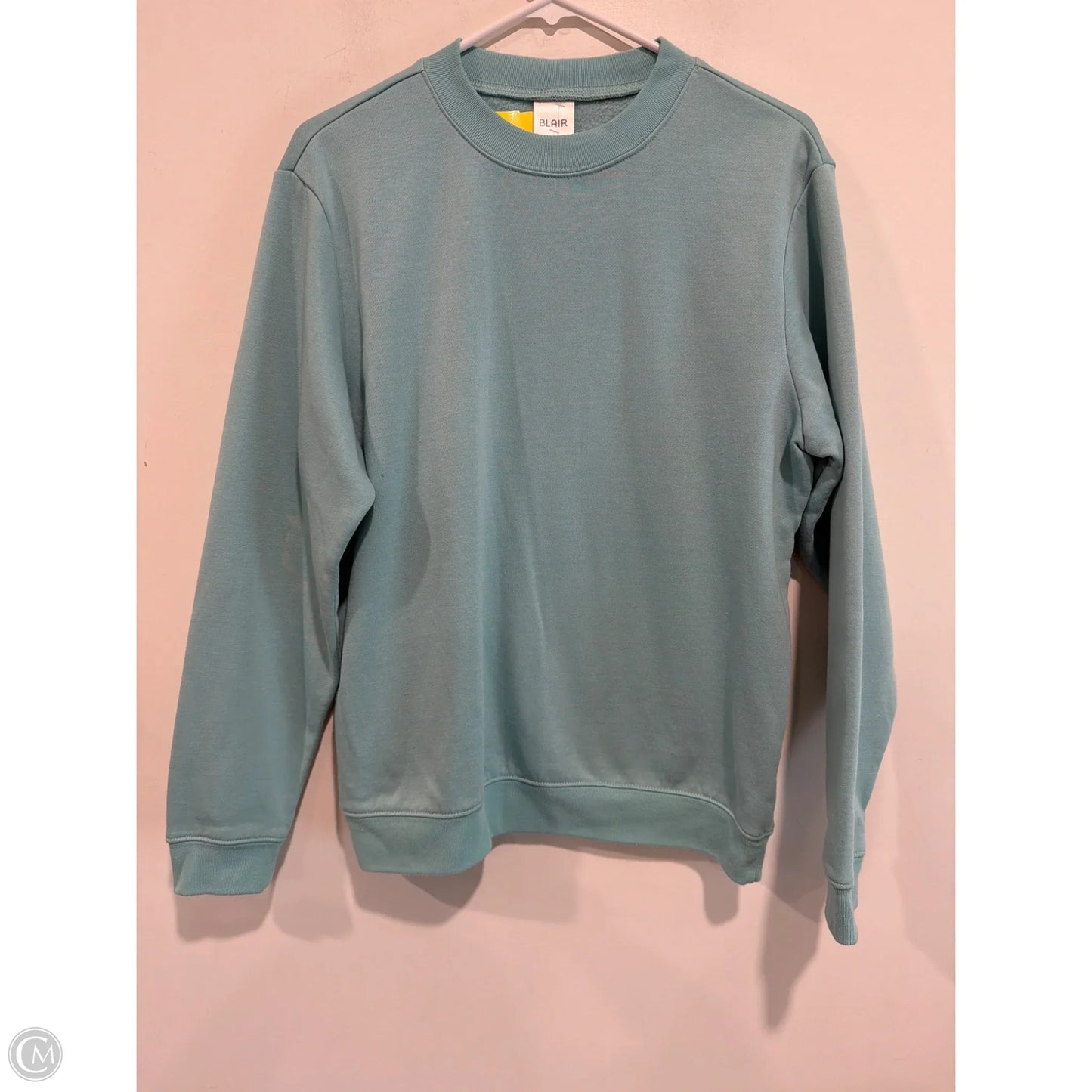 Top Long Sleeve By Blair In Teal, Size: M