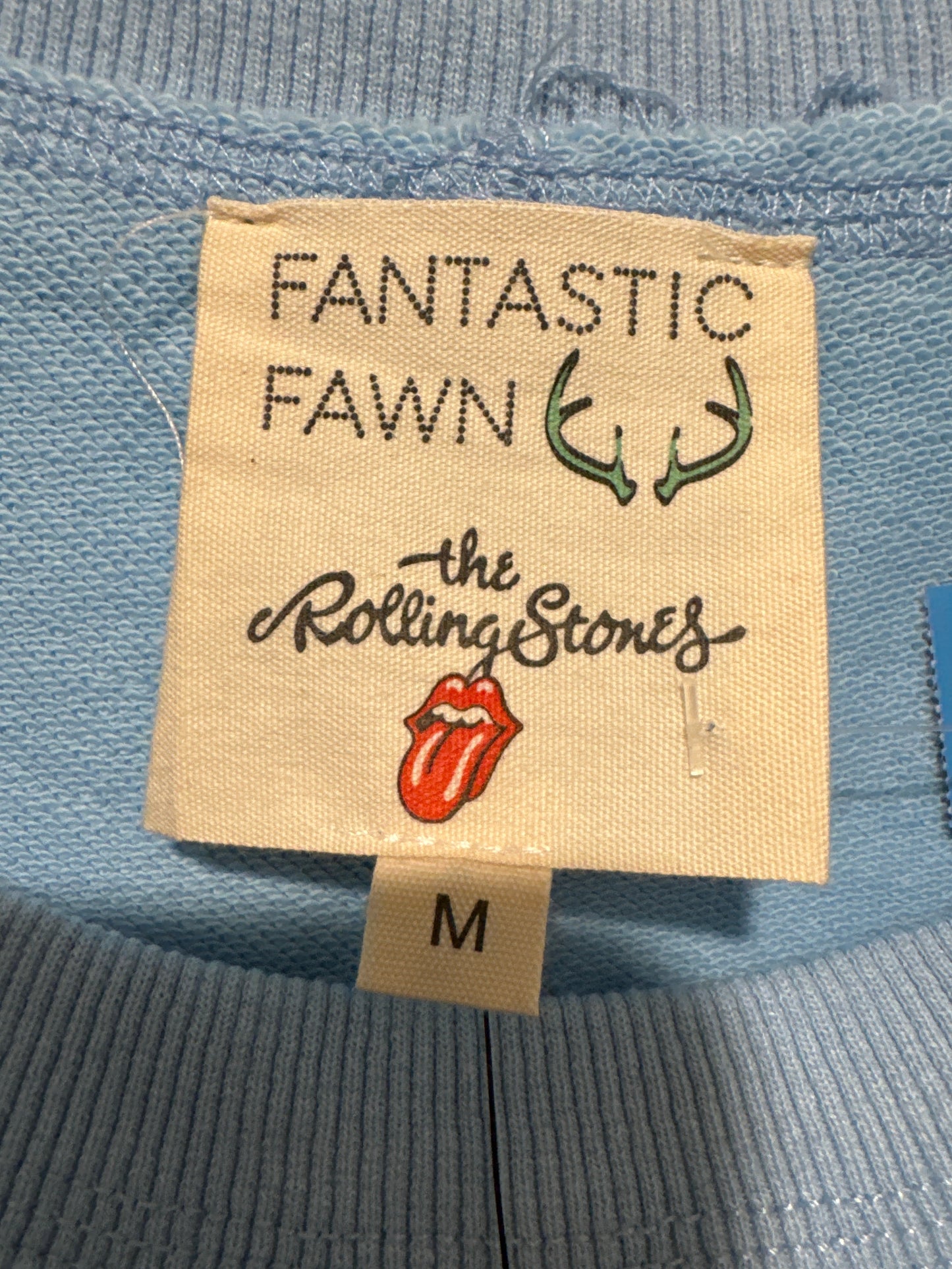 Sweatshirt Crewneck By Fantastic Fawn In Blue, Size: M