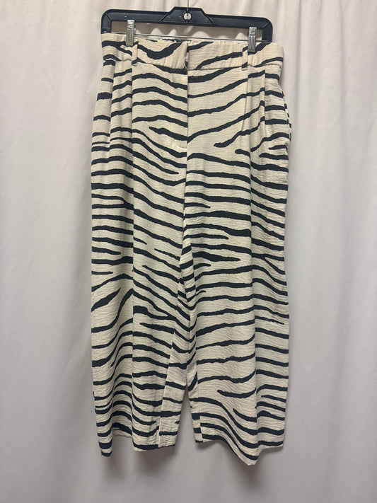 Capris By Jules & Leopold In Zebra Print, Size: M