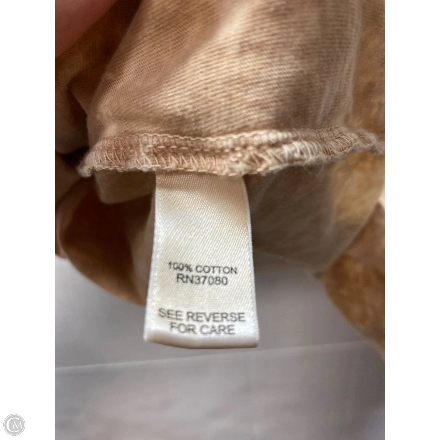 Top Short Sleeve By Cato In Beige, Size: 1x