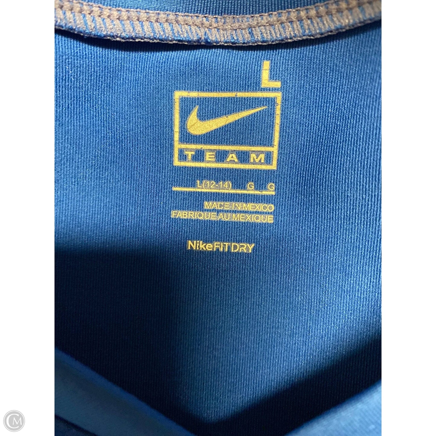 Athletic Tank Top By Nike In Blue, Size: L