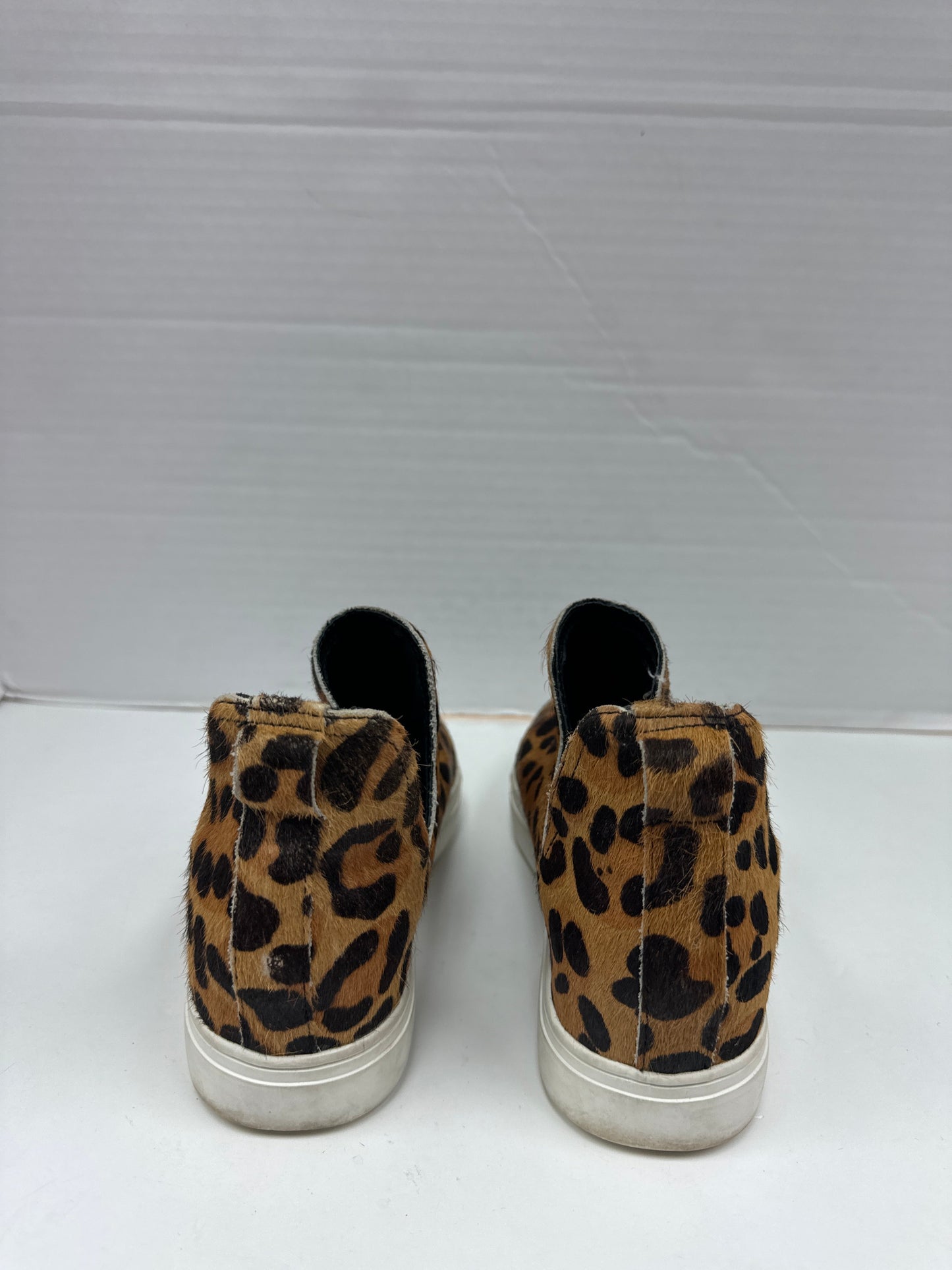 Shoes Sneakers By Steve Madden  Size: 7