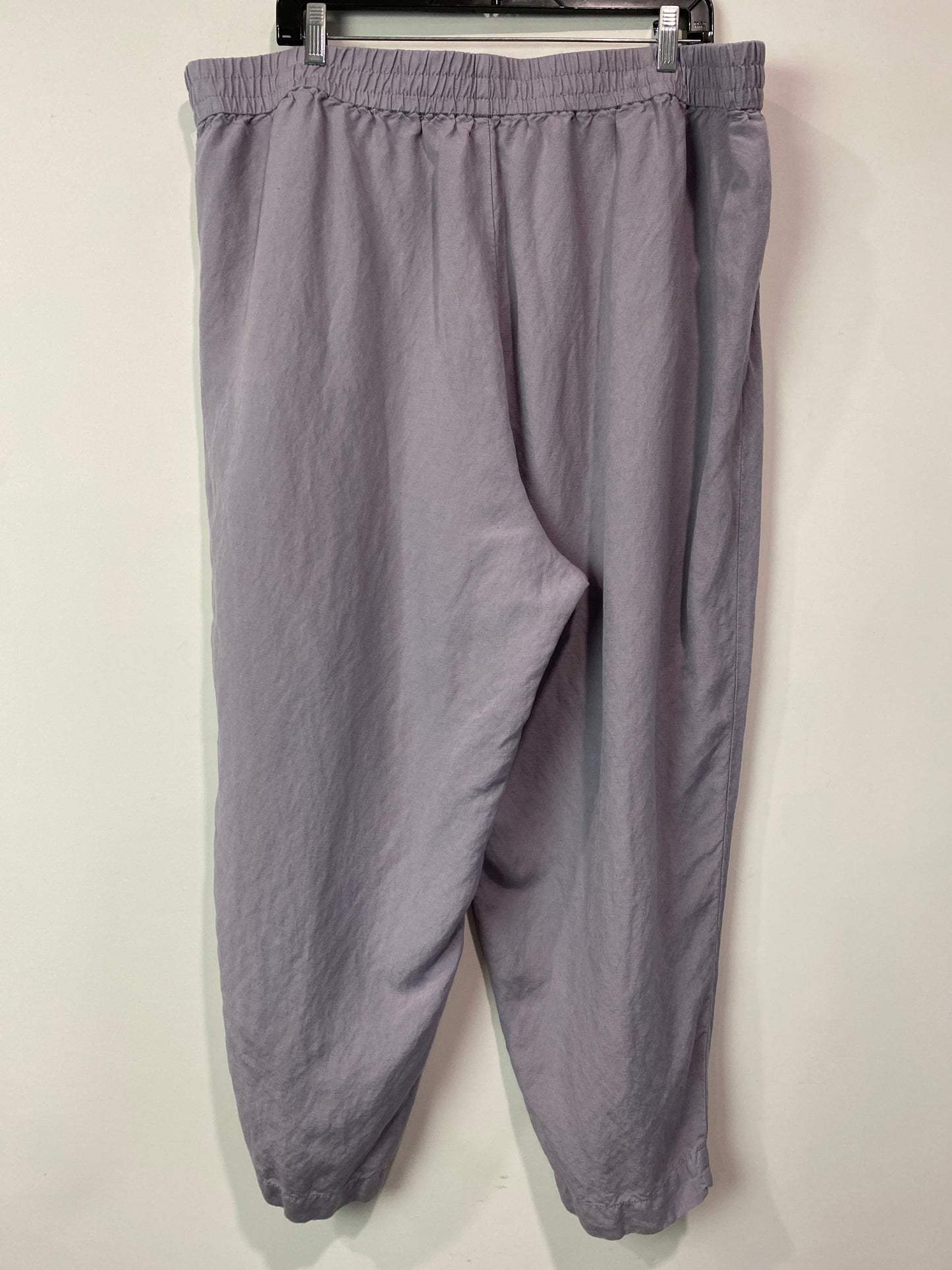 Pants Linen By Madewell  Size: 2x