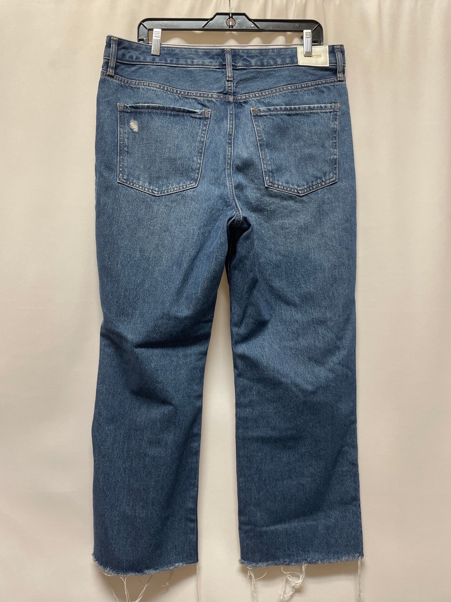 Blue Denim Jeans Straight Express, Size 12l