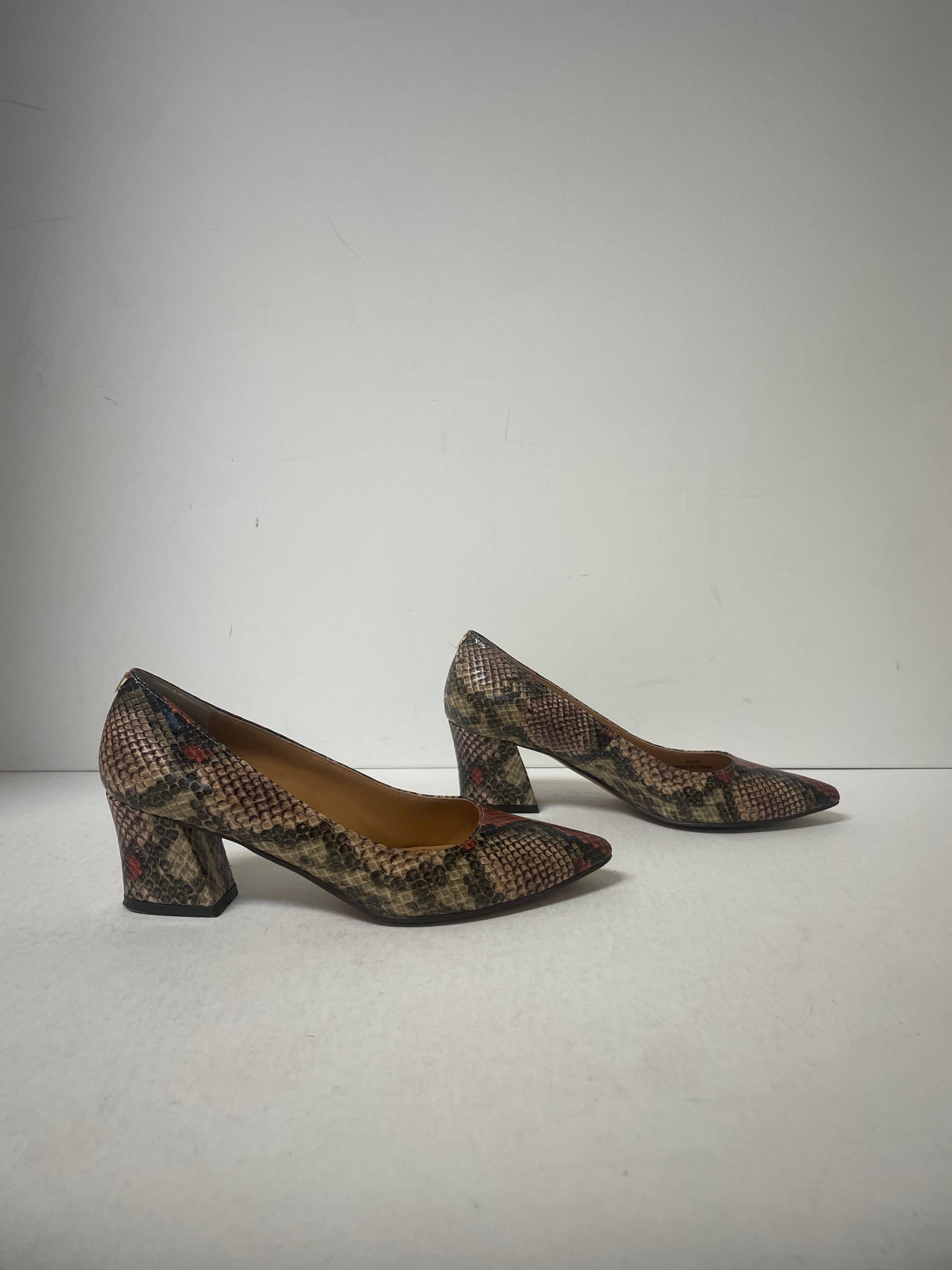 Shoes Heels Block By Cmf In Snakeskin Print, Size: 6.5