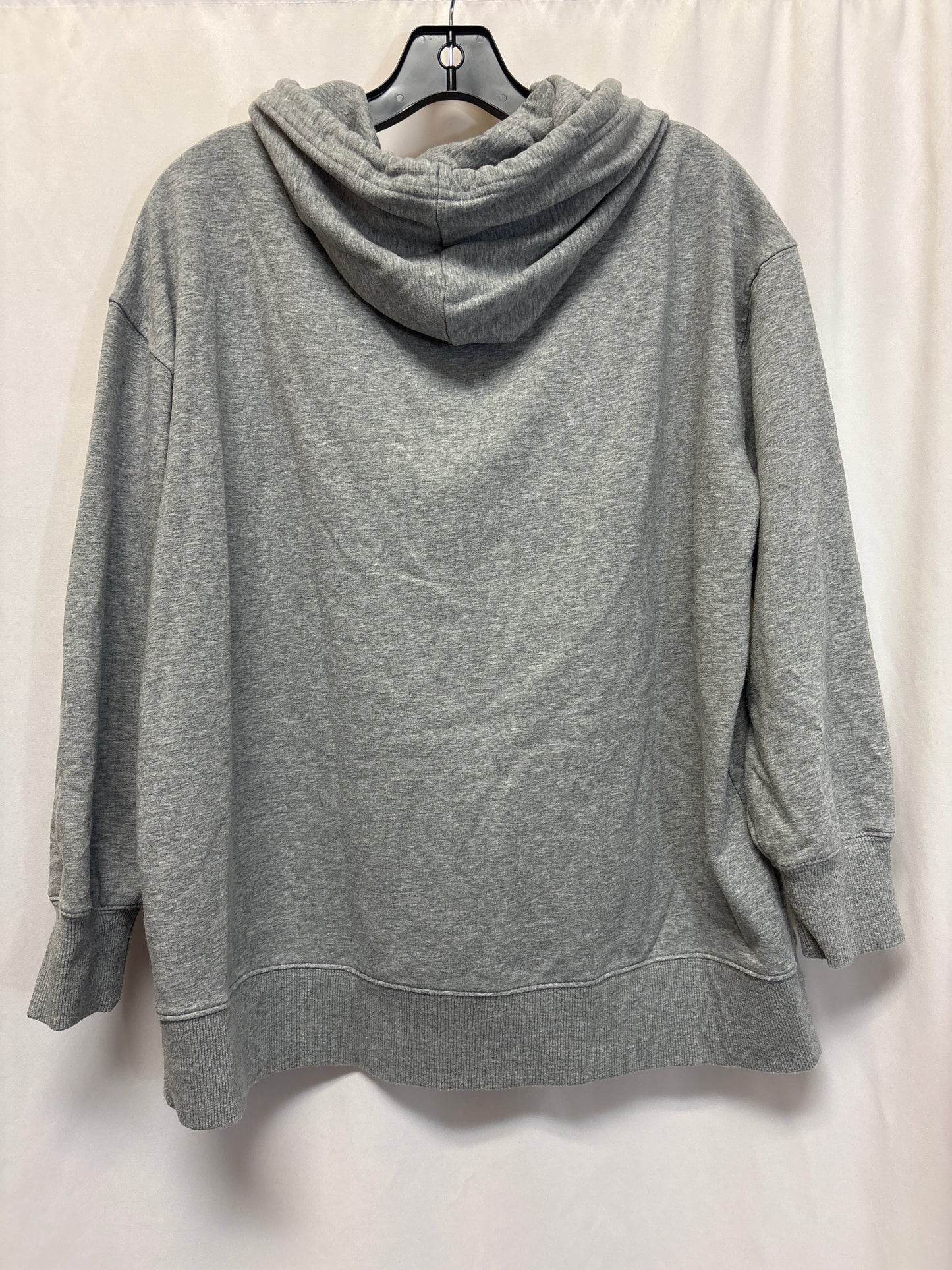 Sweatshirt Hoodie By Terra & Sky In Grey, Size: 1x