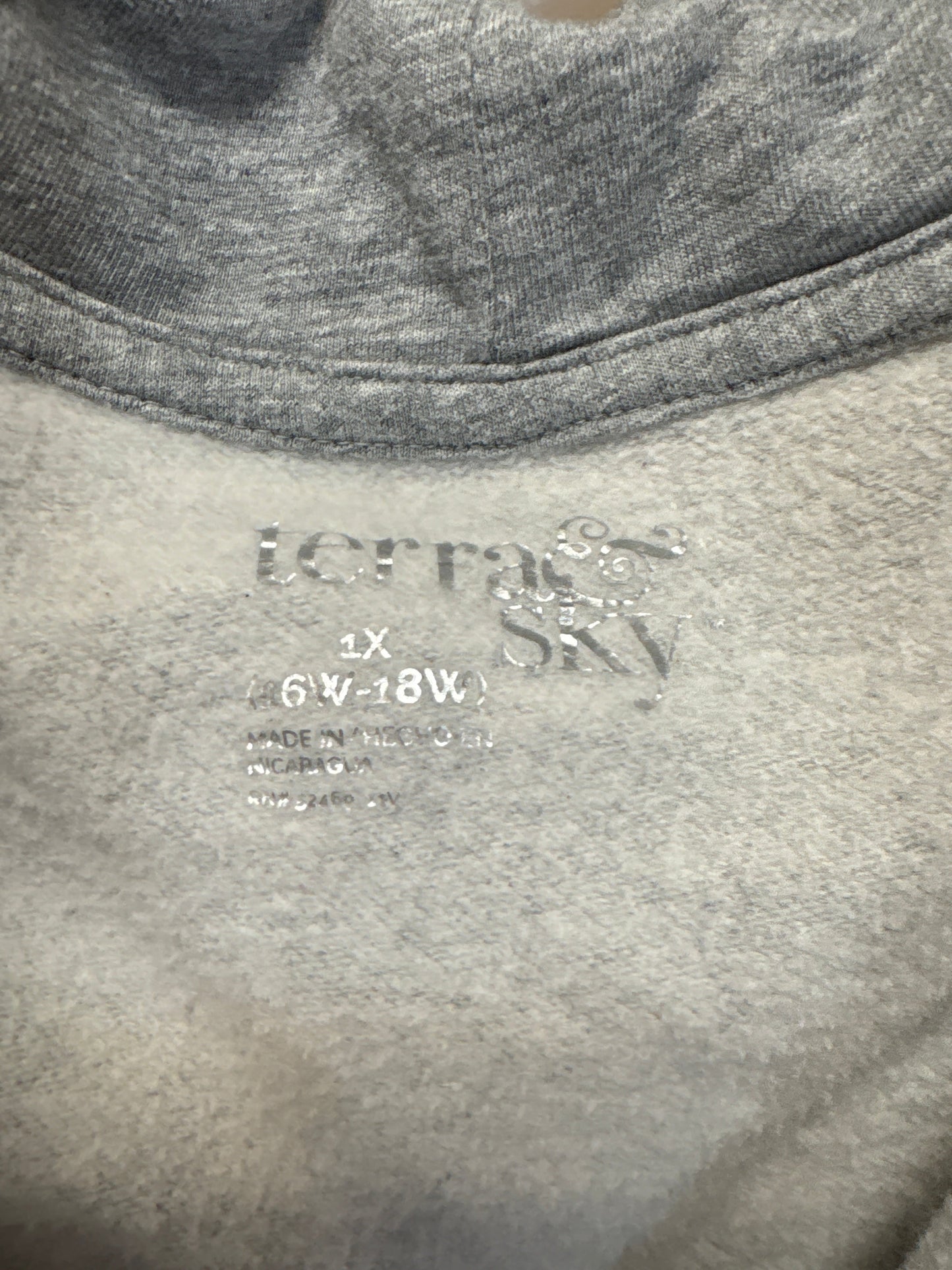 Sweatshirt Hoodie By Terra & Sky In Grey, Size: 1x