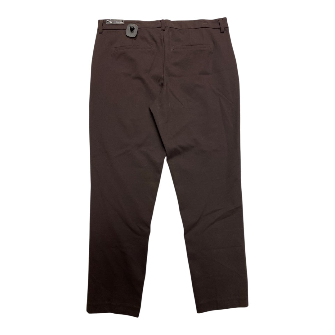 Pants Dress By Liverpool In Brown, Size:14
