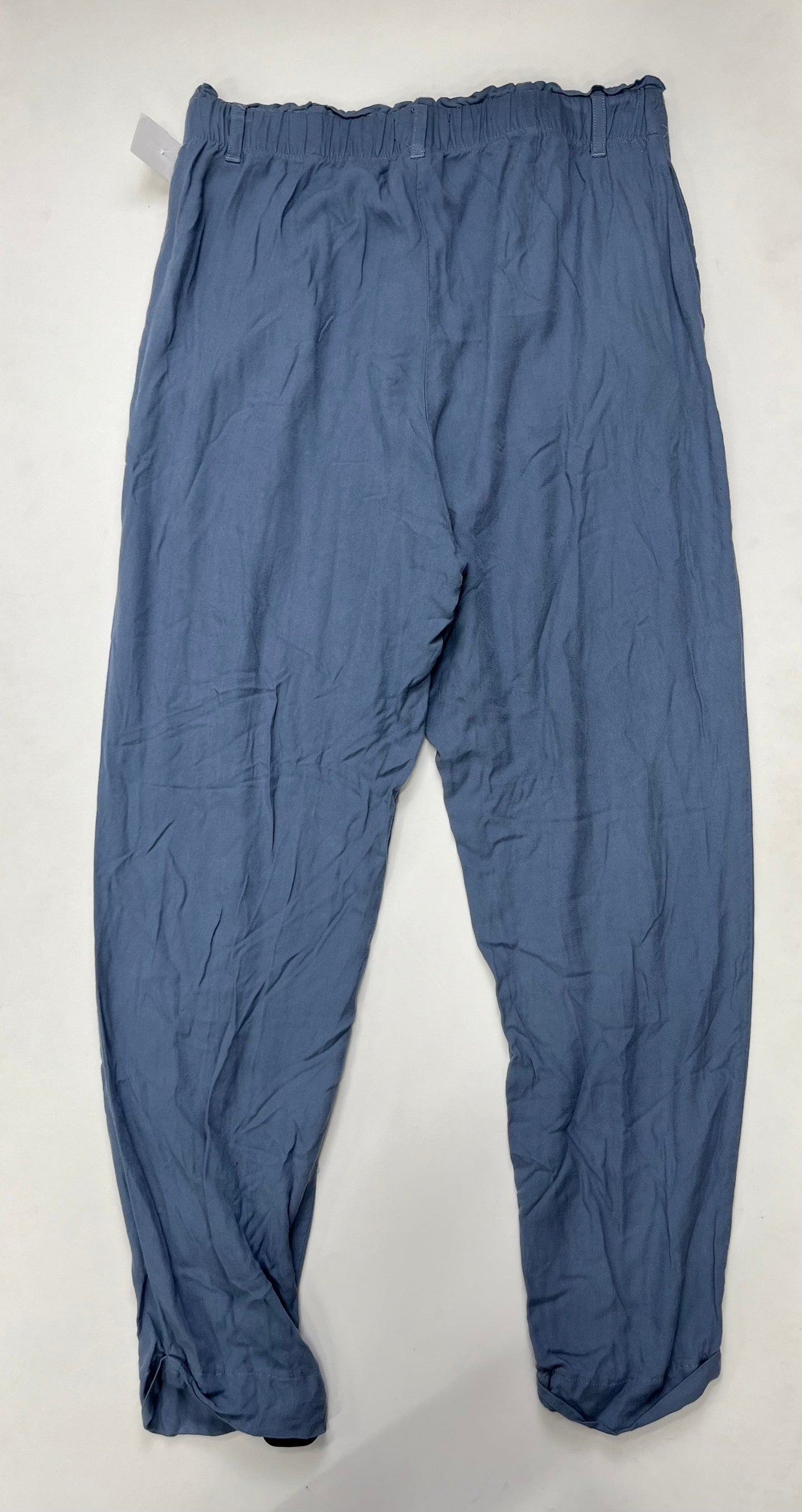 Pants Joggers By Express  Size: M