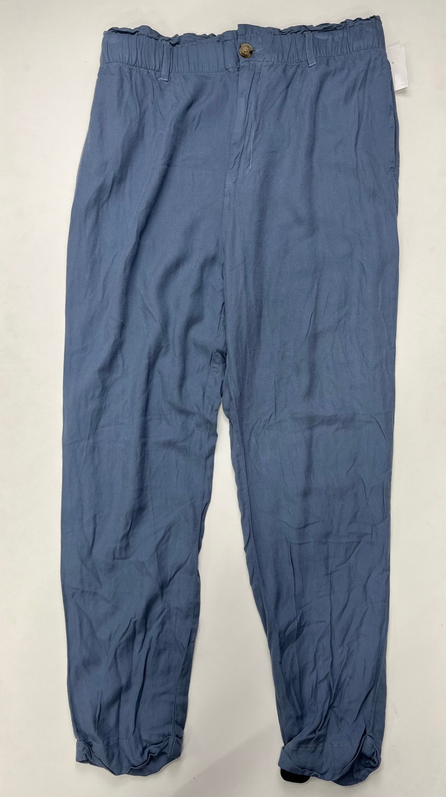 Pants Joggers By Express  Size: M