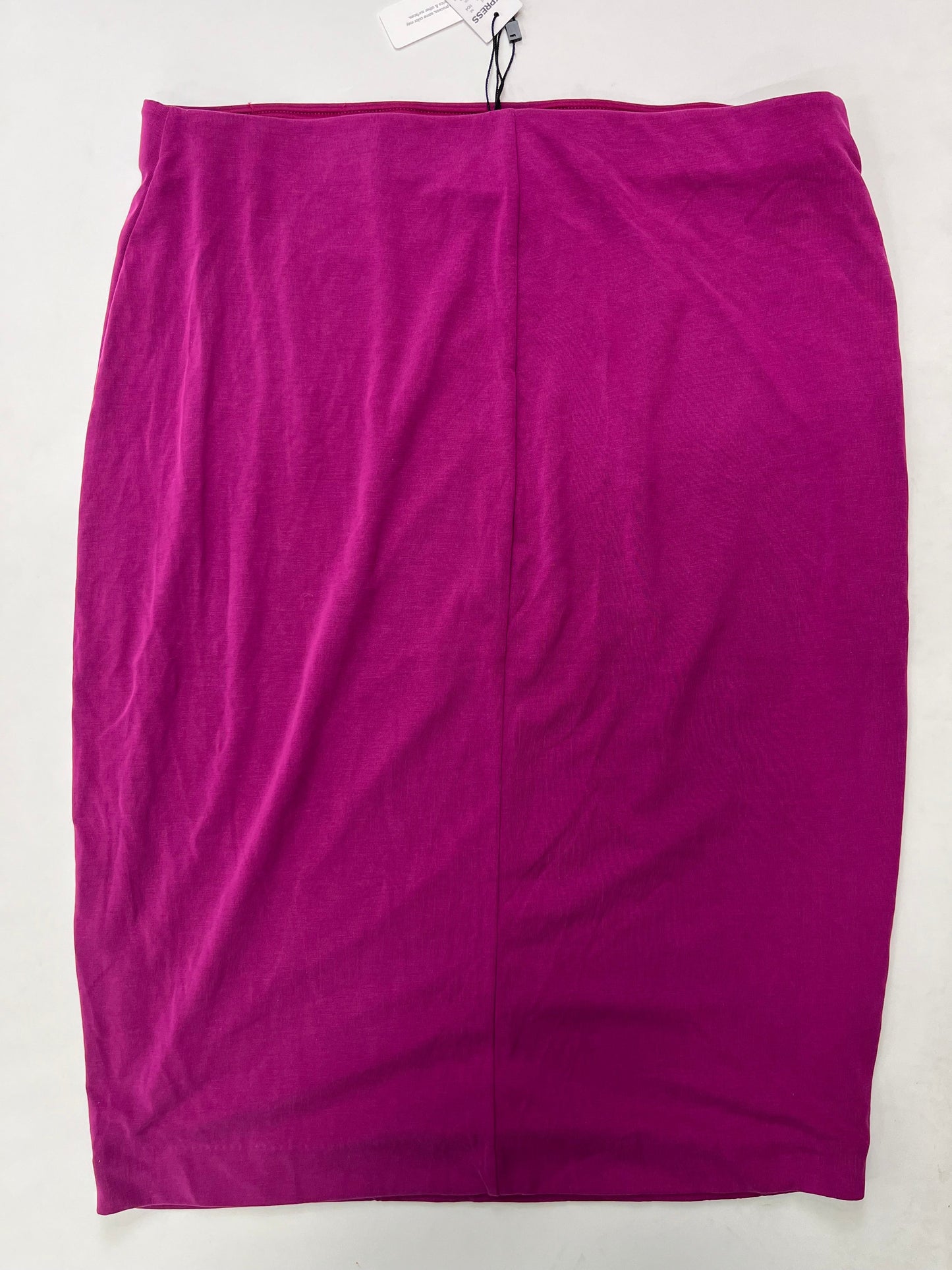 Skirt Midi By Express NWT Size: 12