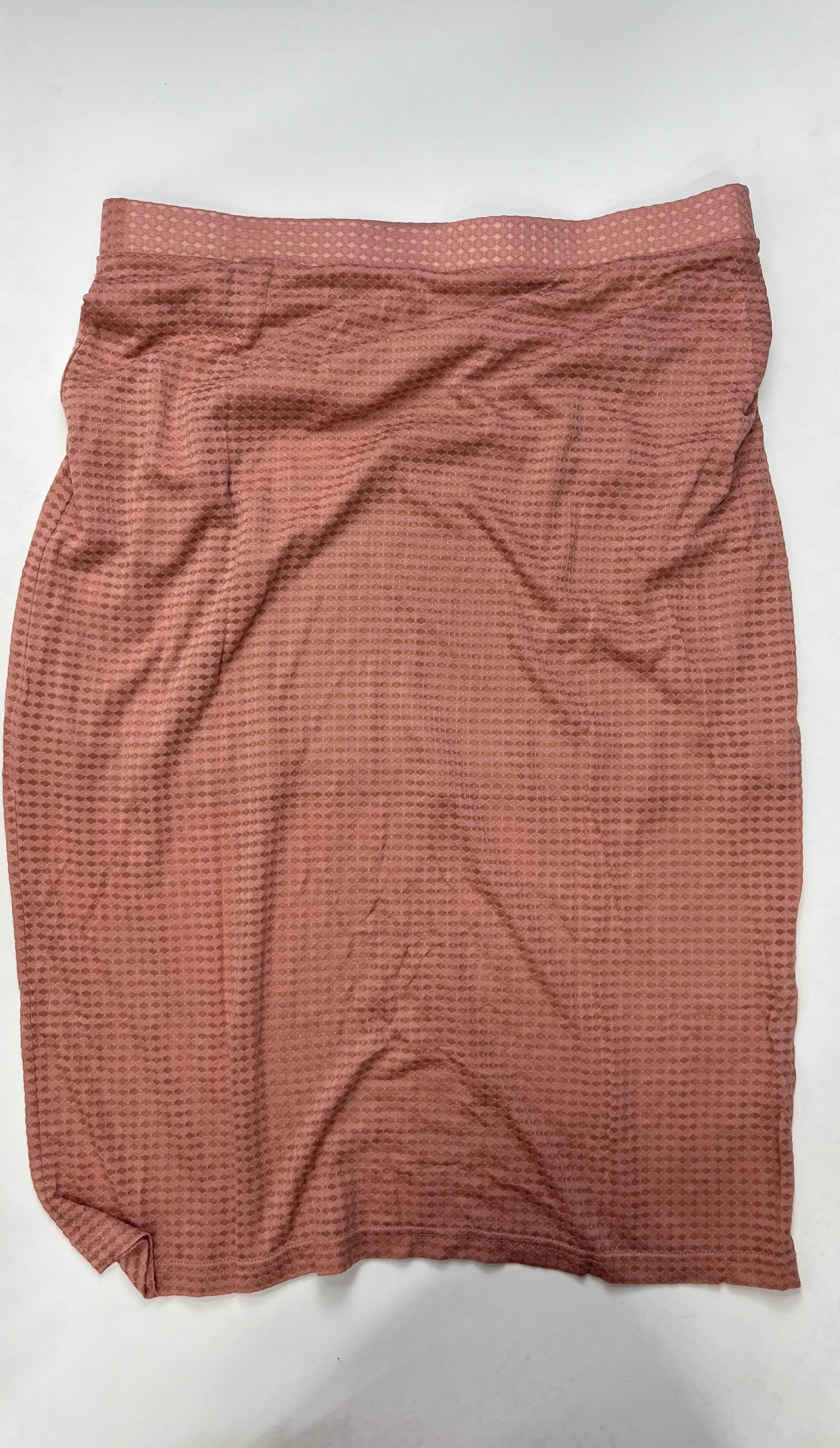 Salmon Skirt Maxi New York And Co, Size Xl
