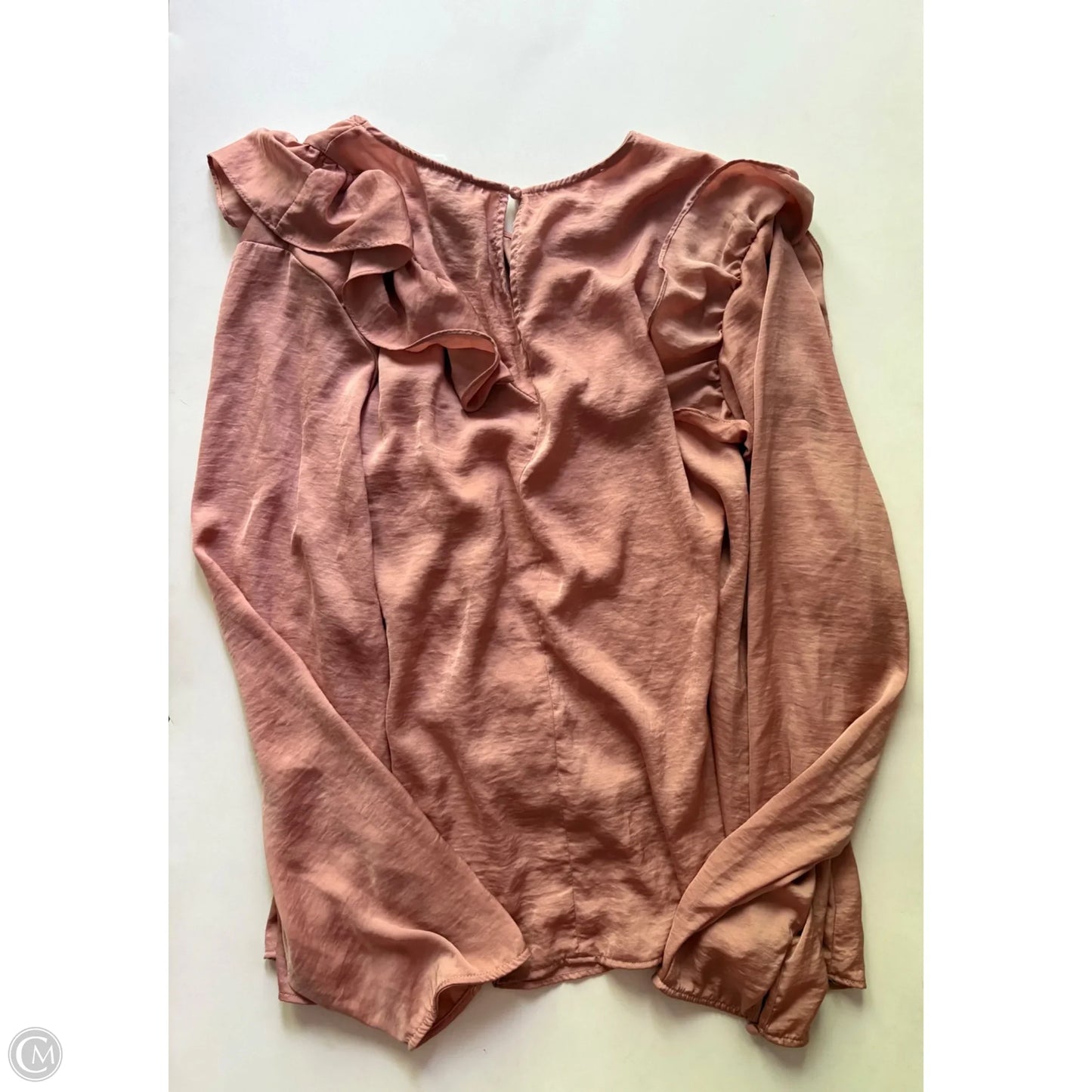 Blouse Long Sleeve By Lane Bryant In Bronze, Size: 4x
