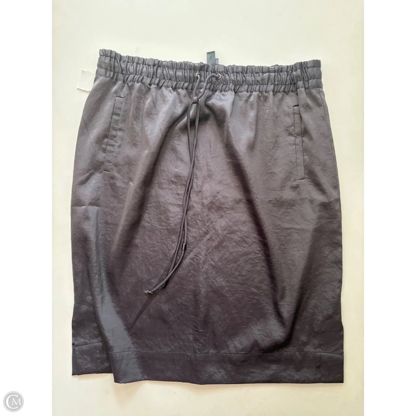 Skirt Midi By Marla Wynne In Grey, Size: 12