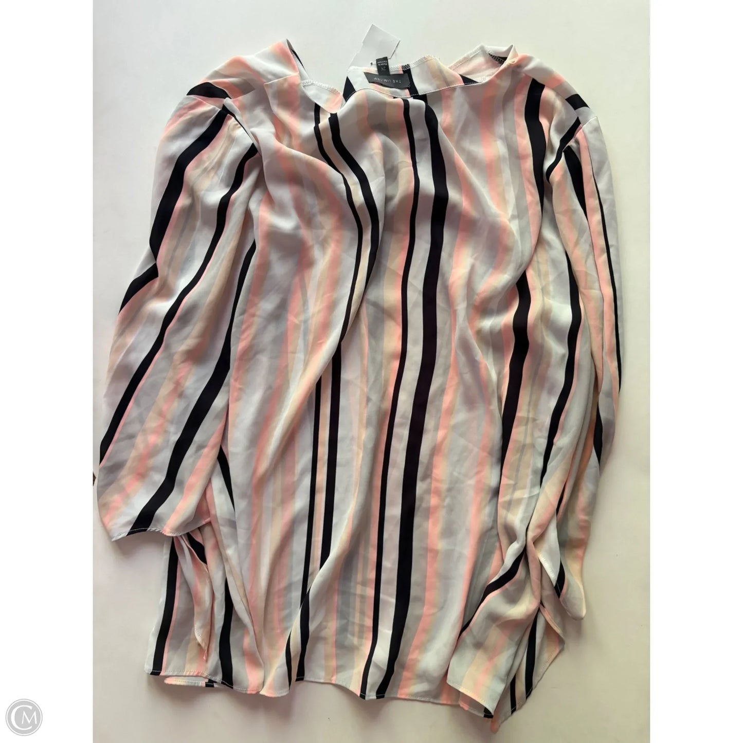 Blouse Long Sleeve By Limited In Striped Pattern, Size: 2x