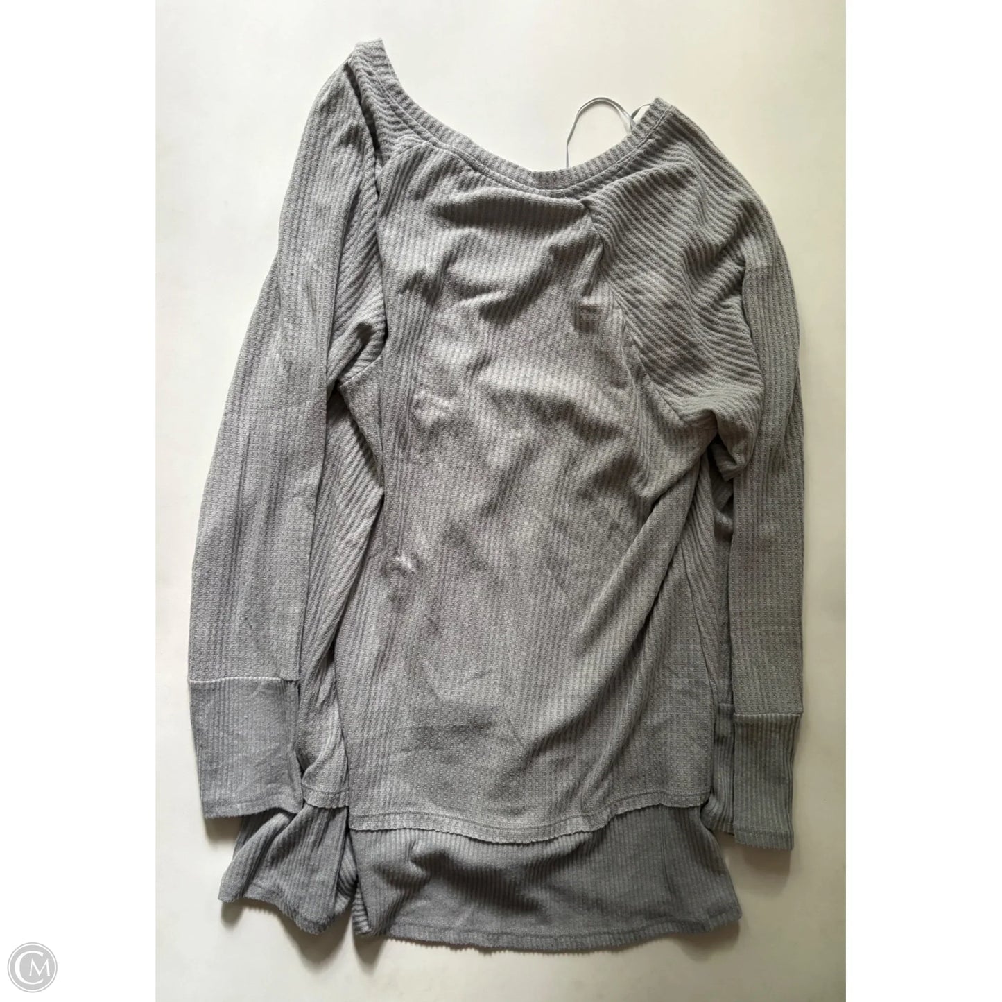 Top Long Sleeve By Philosophy In Grey, Size: 2x