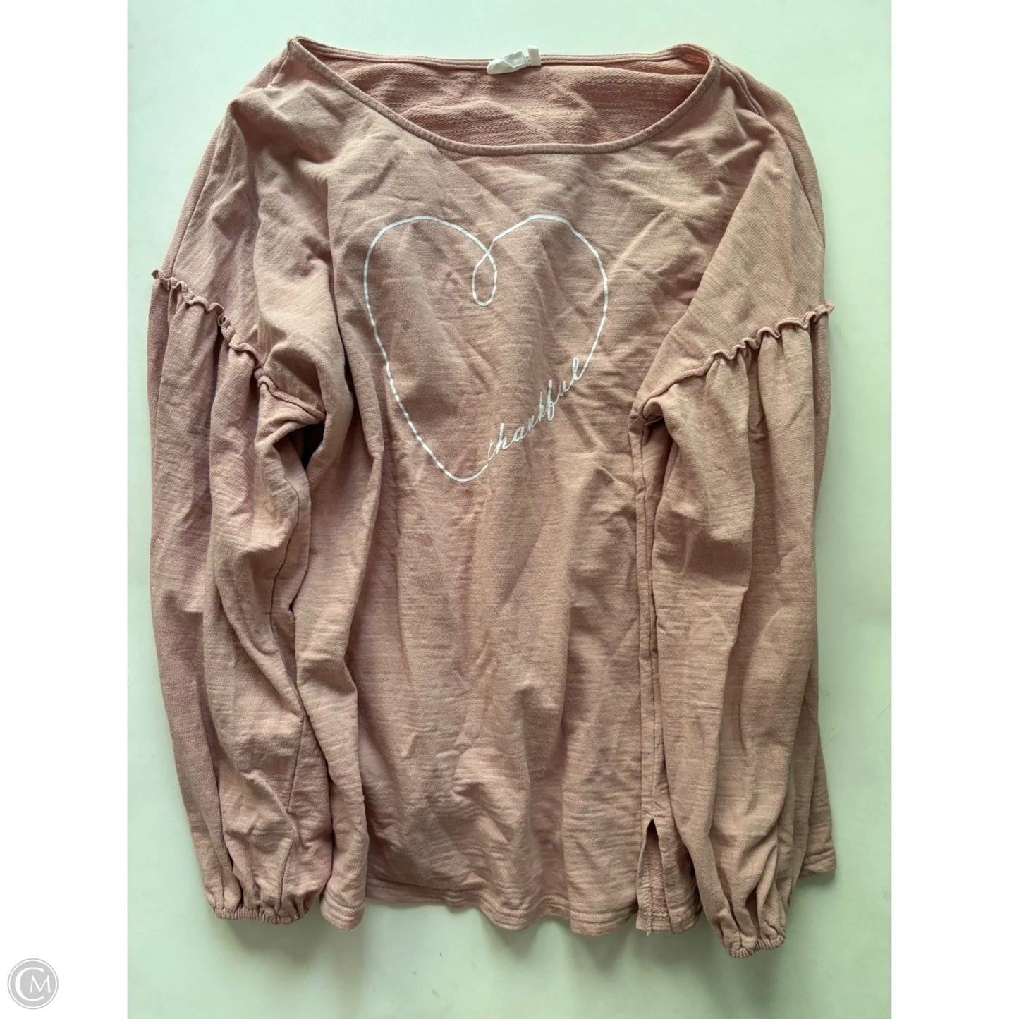 Top Long Sleeve By Simple In Pink, Size: 2x