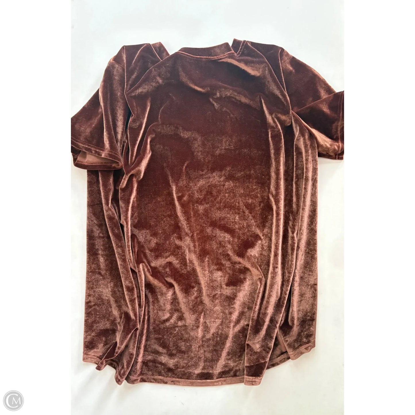 Top Short Sleeve By Amaryllis In Brown, Size: 2x