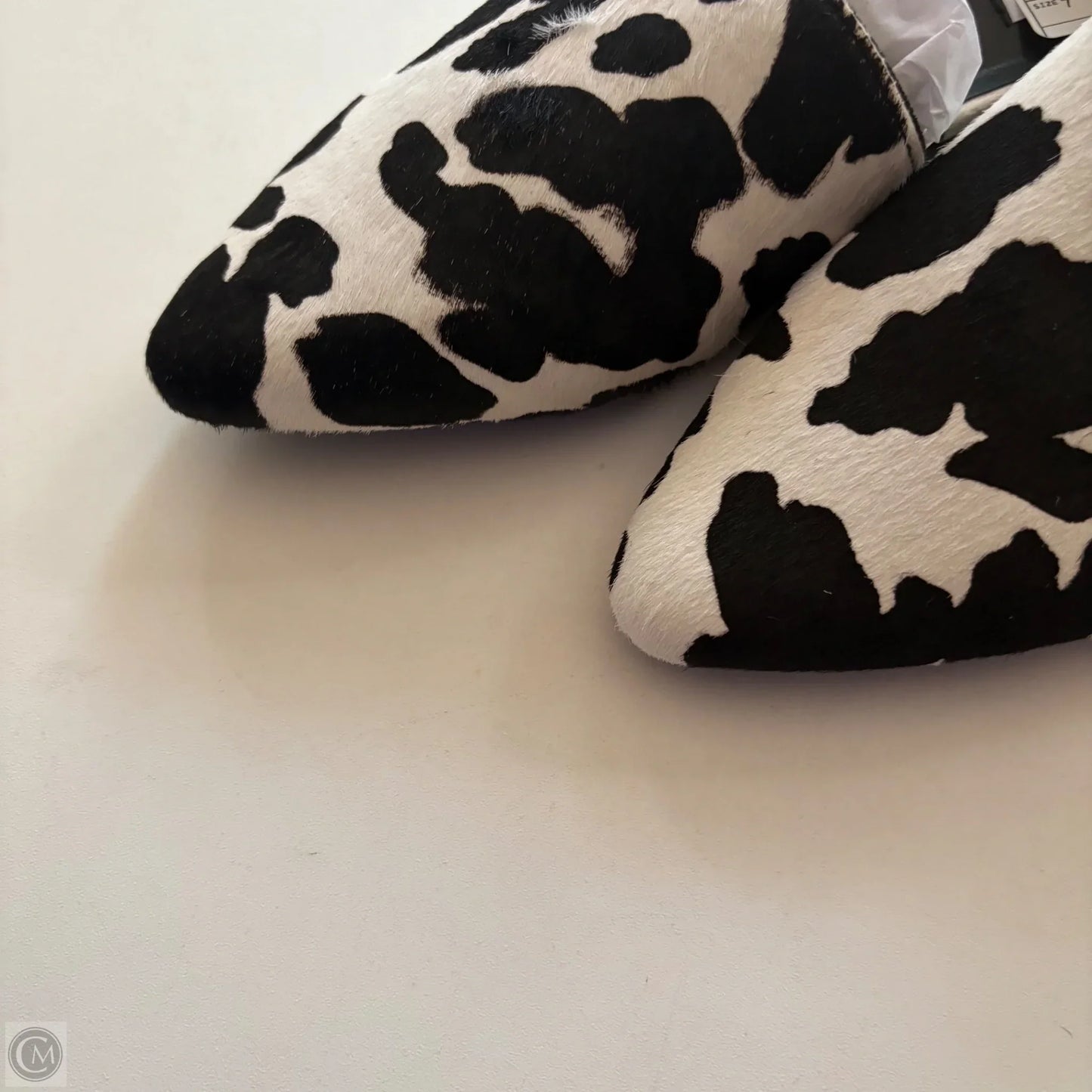 Shoes Flats By Steve Madden In Animal Print, Size: 7