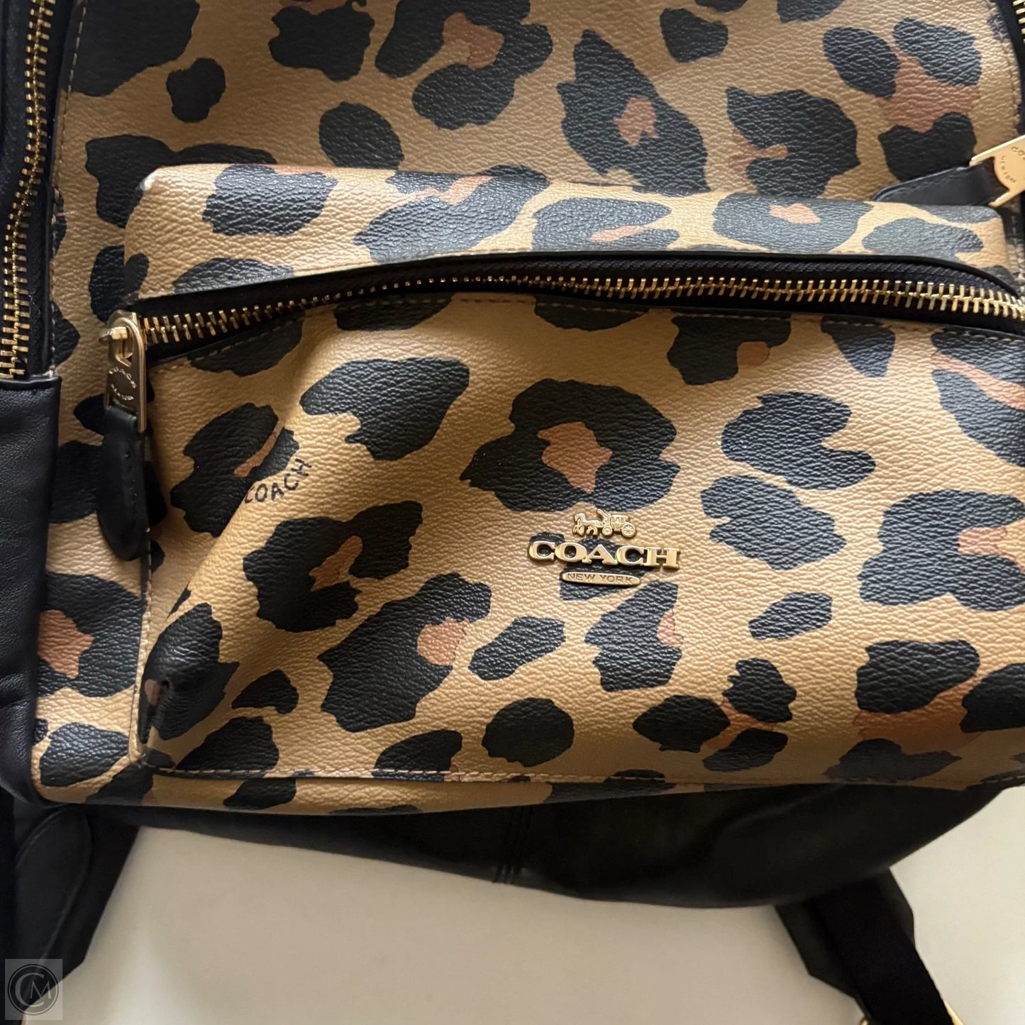 Backpack Designer By Coach, Size: Medium