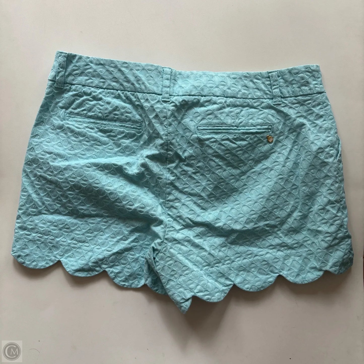 Shorts By Crown And Ivy In Blue, Size: 12