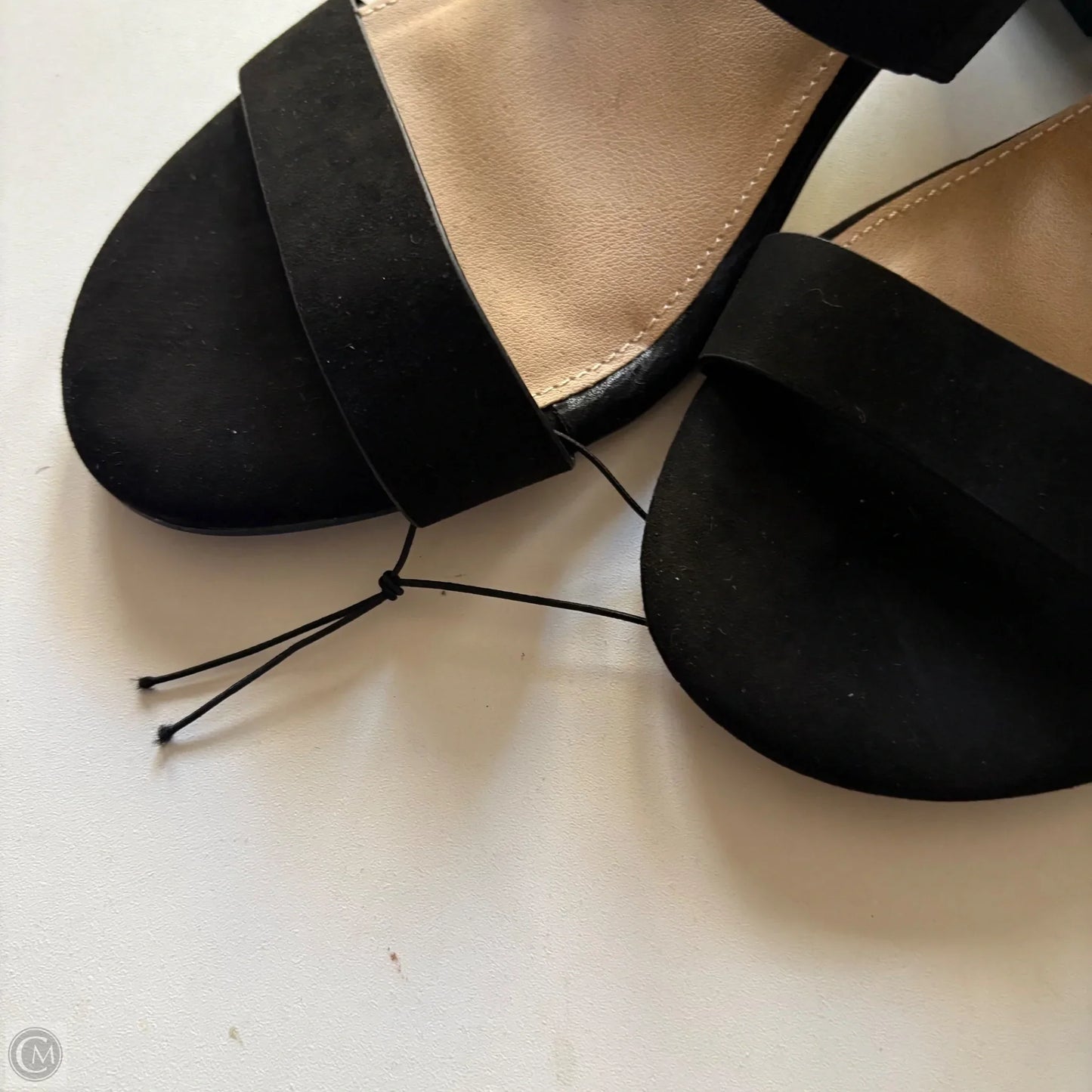 Sandals Heels Block By Torrid In Black, Size: 10