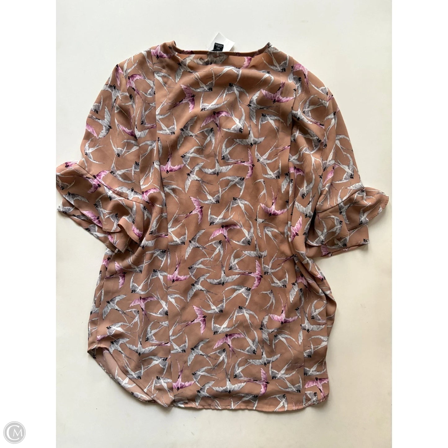 Blouse Short Sleeve By Ann Taylor In Brown, Size: Xs