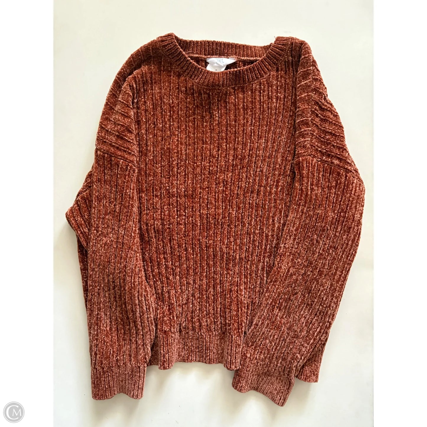 Sweater By Time And Tru In Brown, Size: L