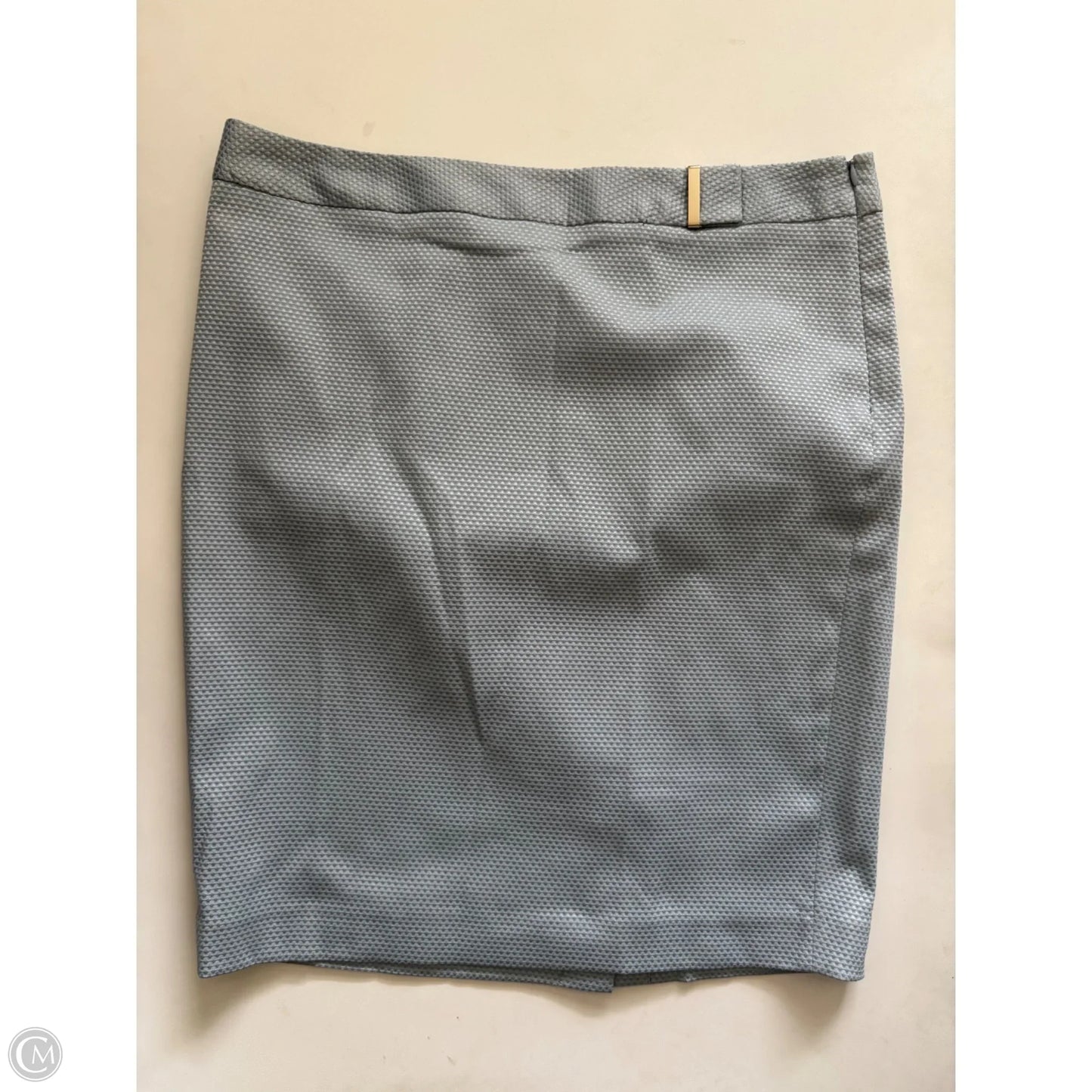 Skirt Midi By Limited In Blue, Size: 14