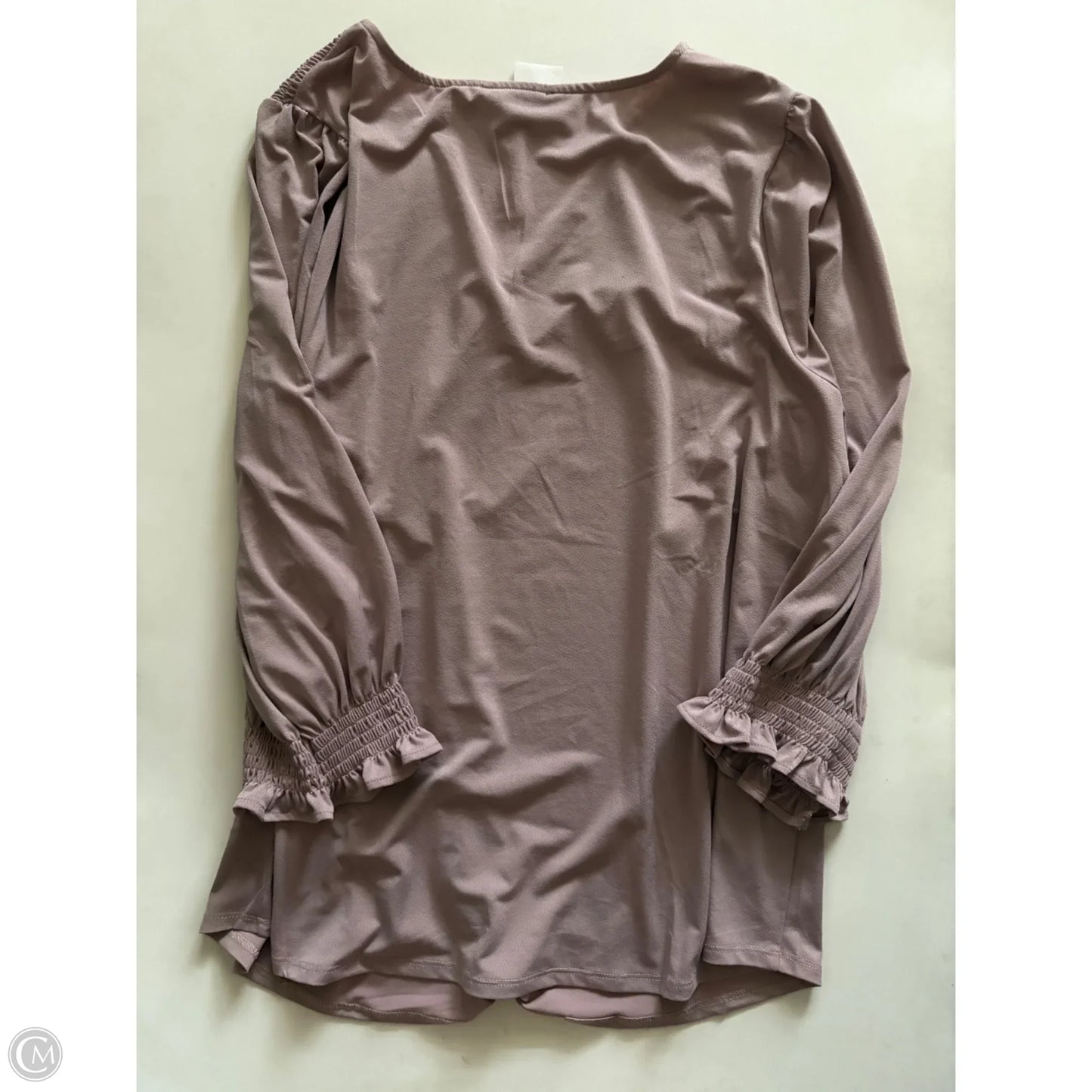 Blouse Long Sleeve By Adrianna Papell In Taupe, Size: 2x