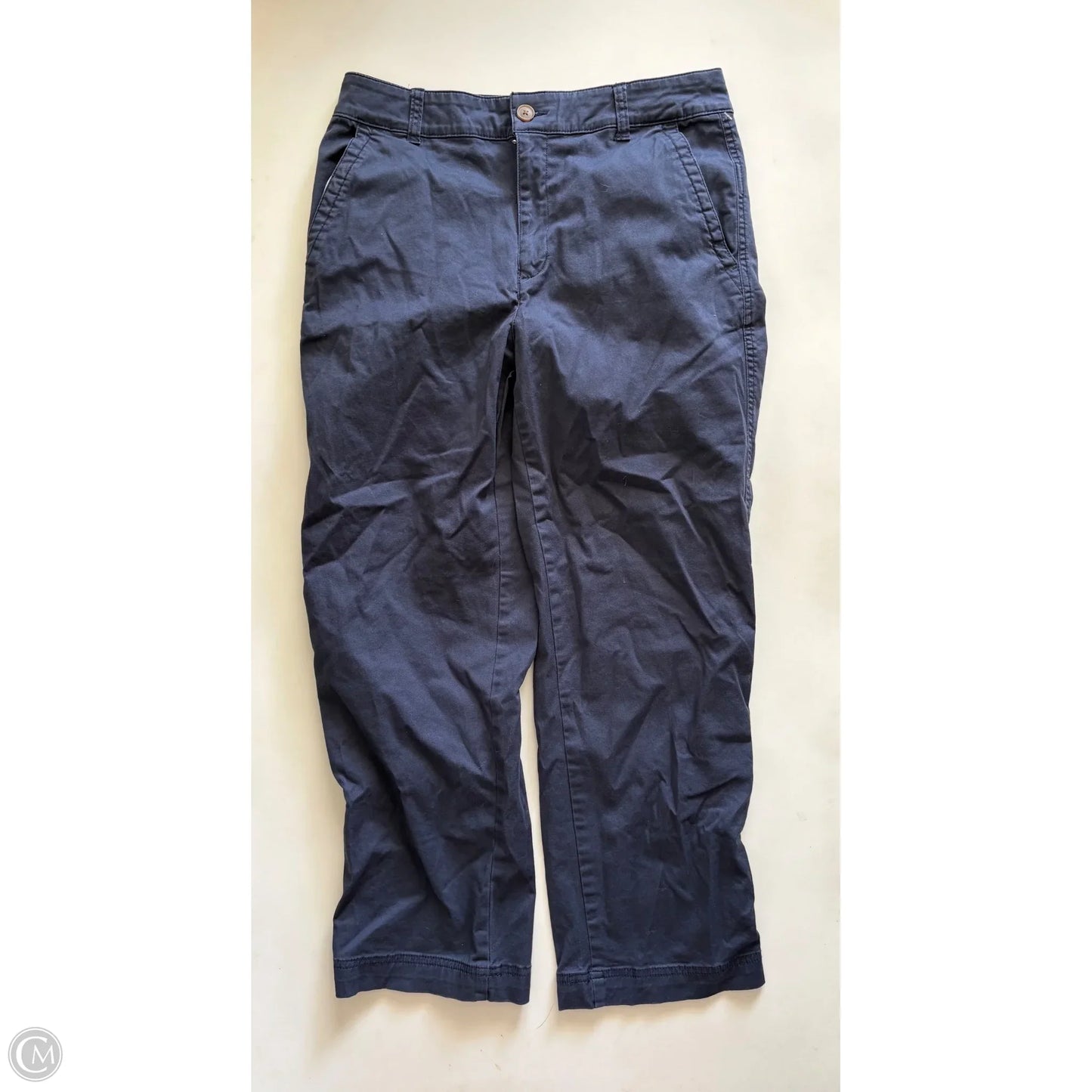 Pants Chinos & Khakis By Gap In Blue, Size: 8
