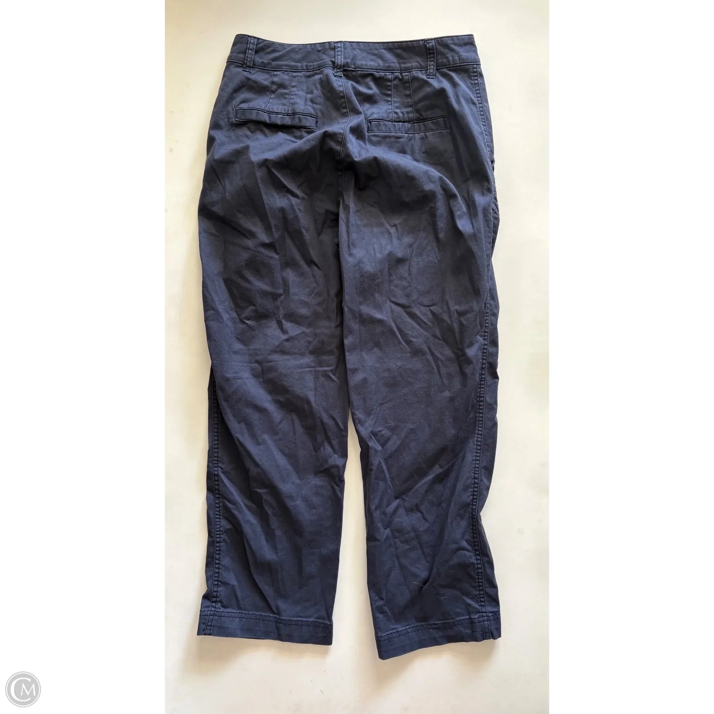 Pants Chinos & Khakis By Gap In Blue, Size: 8