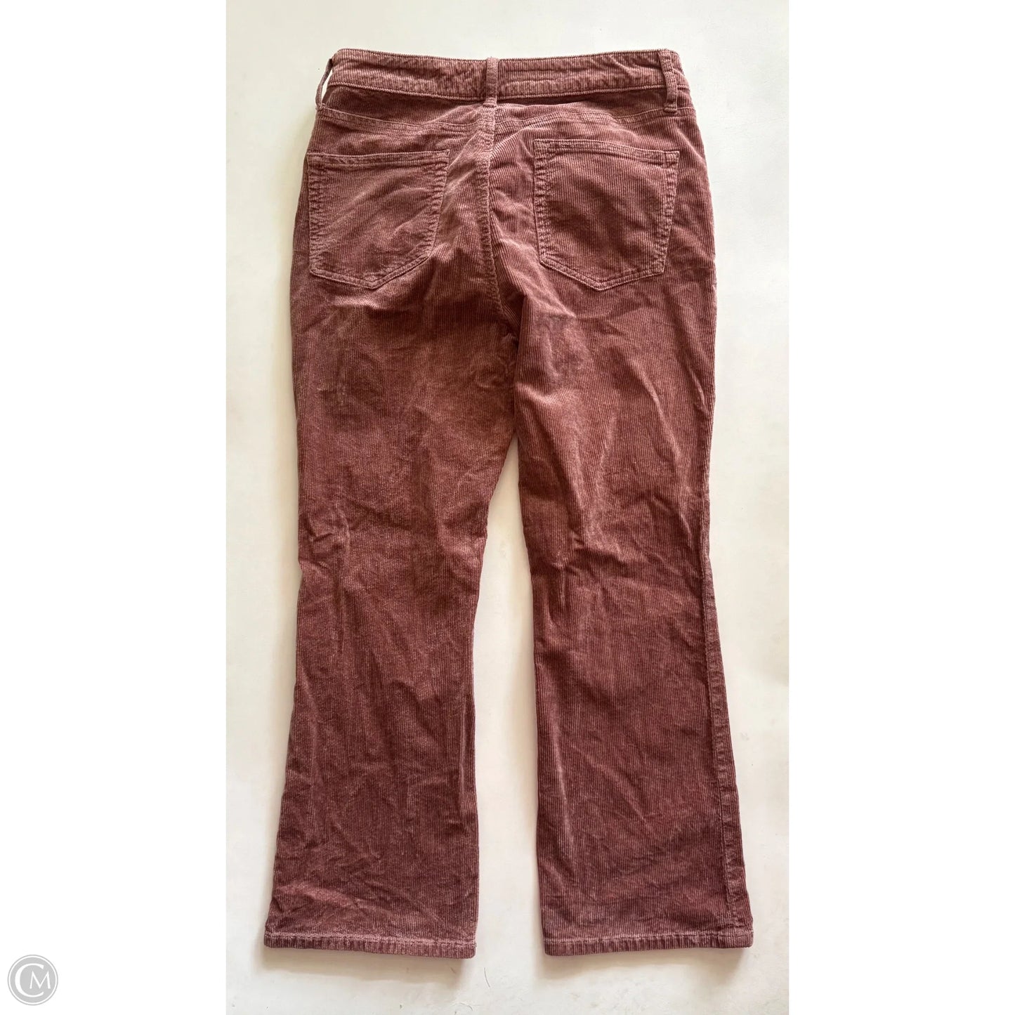 Pants Corduroy By Pilcro In Brown, Size: 8
