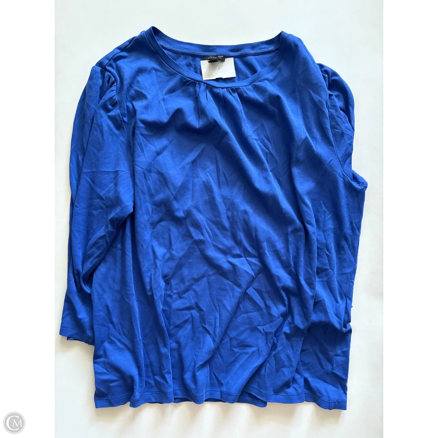 Top Long Sleeve By Ann Taylor In Blue, Size: 2x