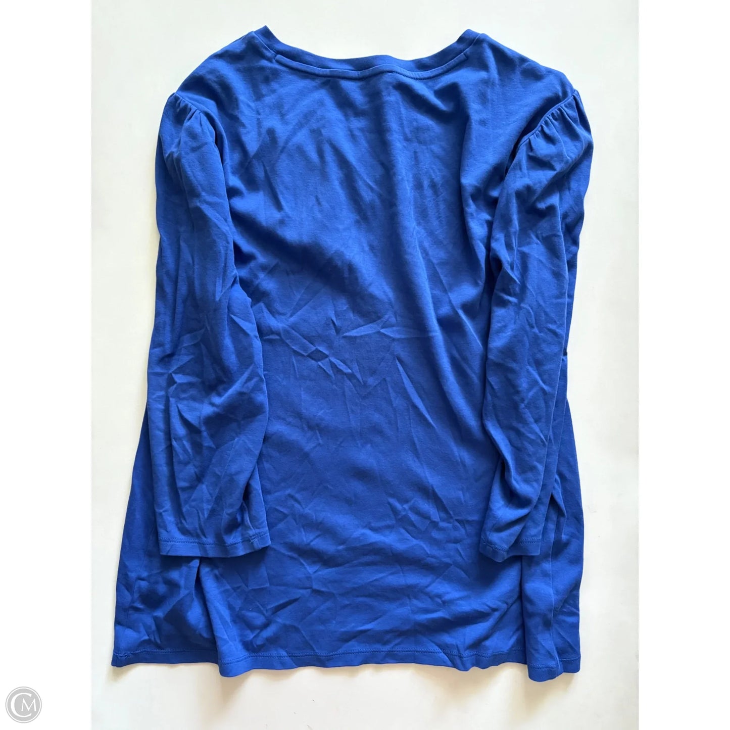 Top Long Sleeve By Ann Taylor In Blue, Size: 2x