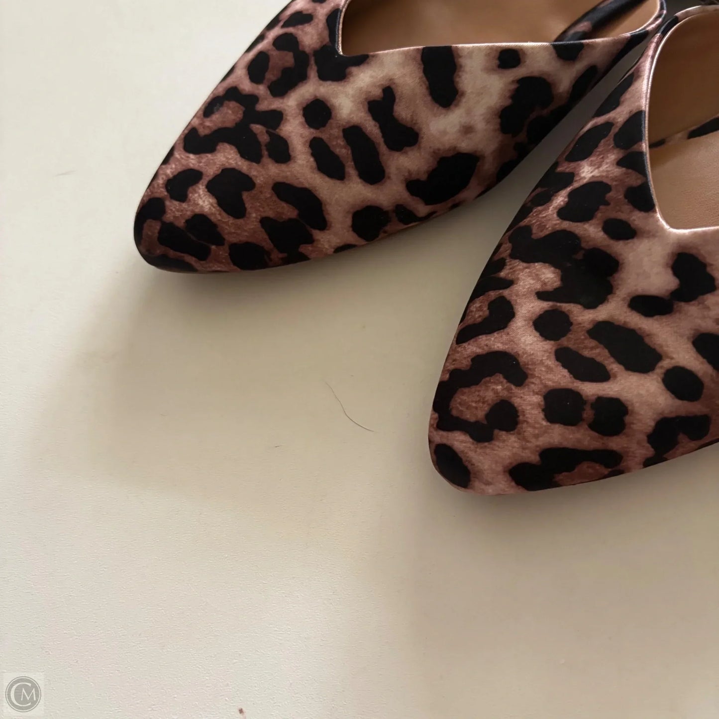 Shoes Flats By Dolce Vita In Animal Print, Size: 7.5