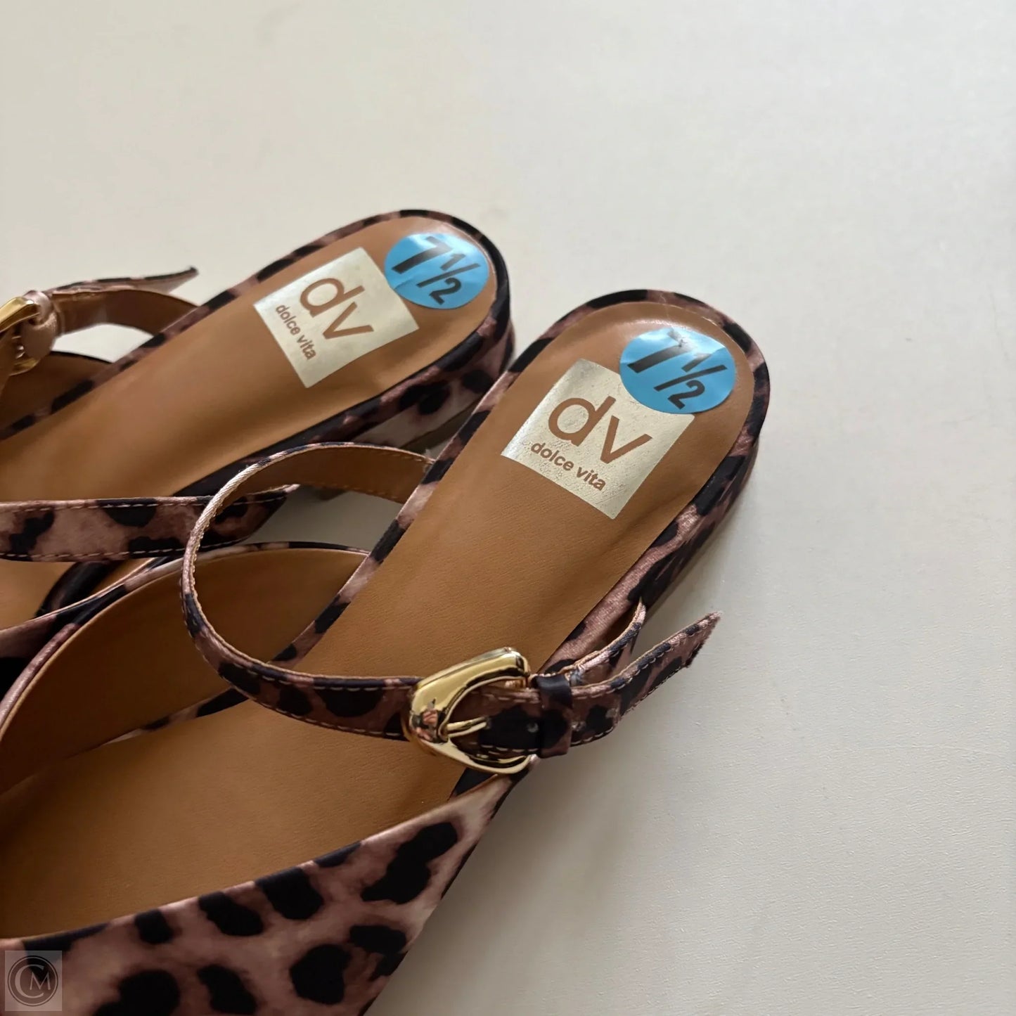 Shoes Flats By Dolce Vita In Animal Print, Size: 7.5
