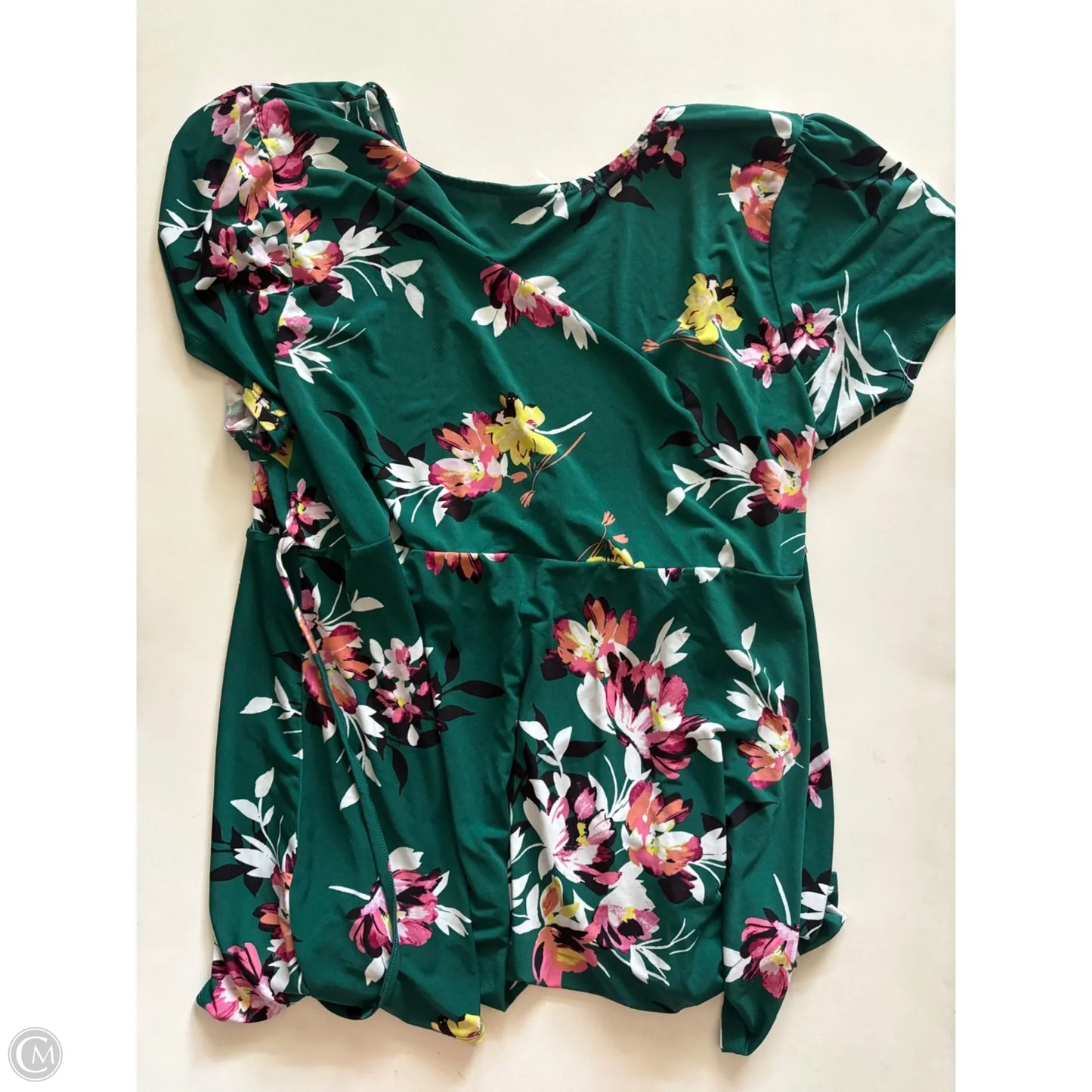 Blouse Long Sleeve By Torrid In Green, Size: 3x