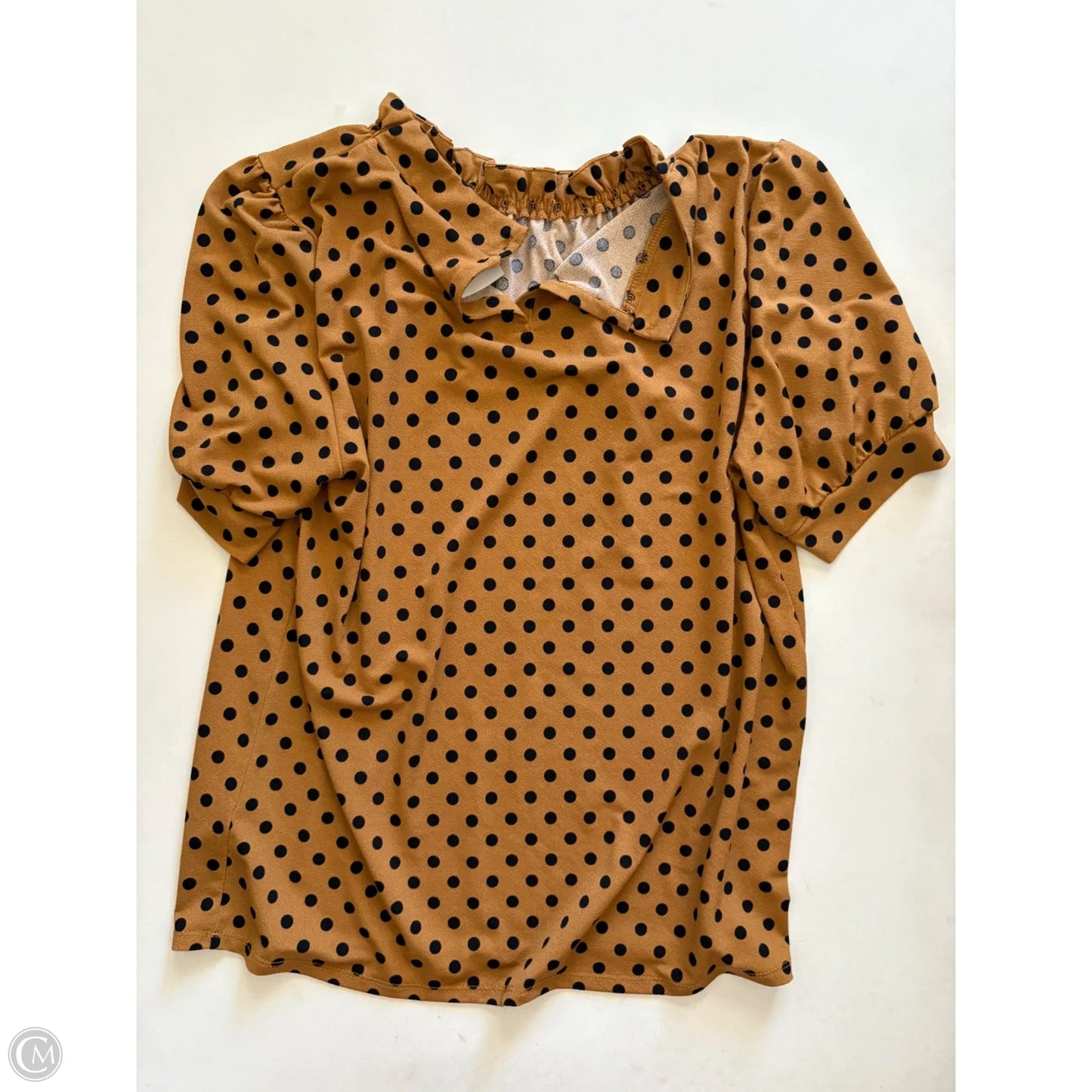 Blouse Short Sleeve By Adrianna Papell In Polkadot Pattern, Size: M