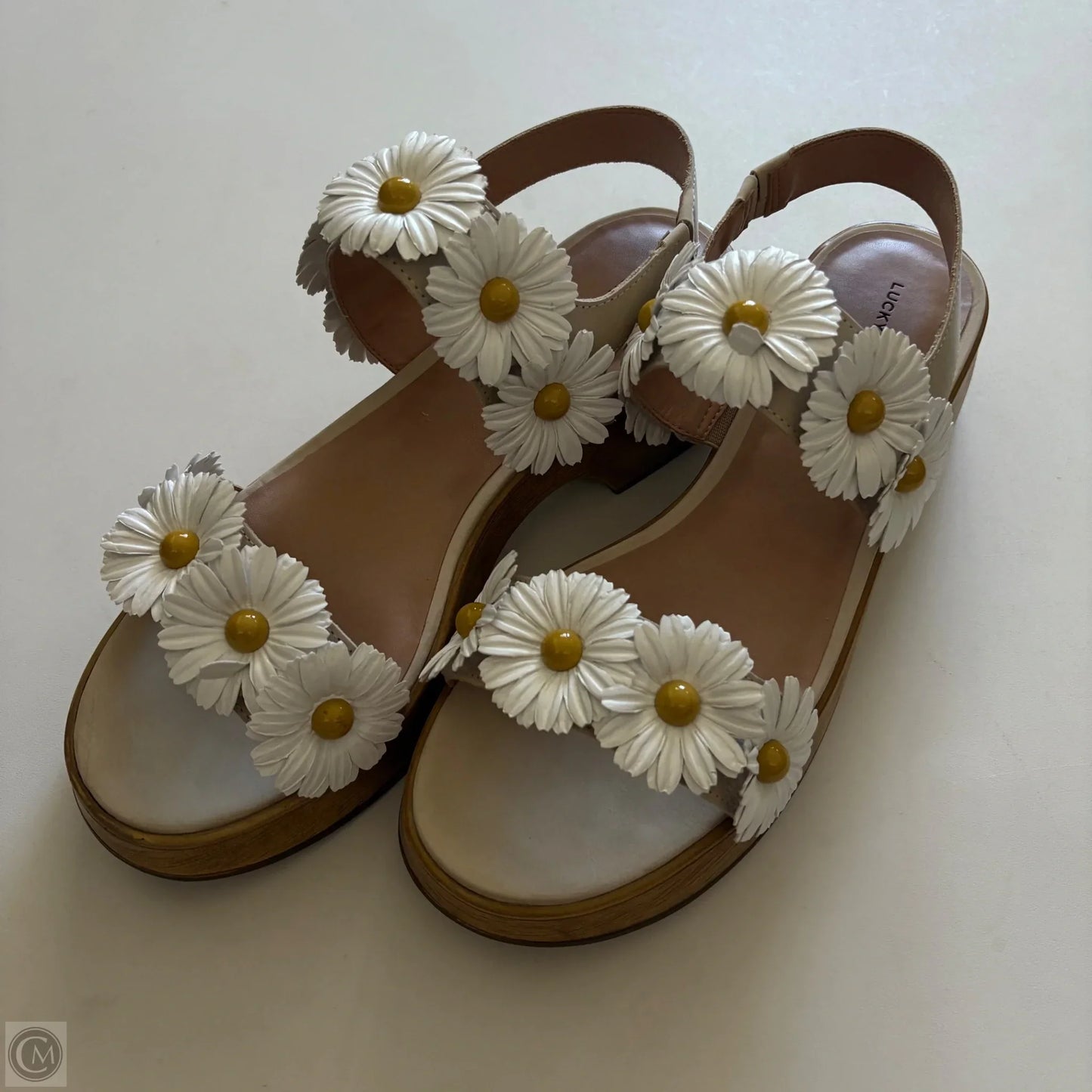 Shoes Heels Block By Lucky Brand In Floral Print, Size: 9.5